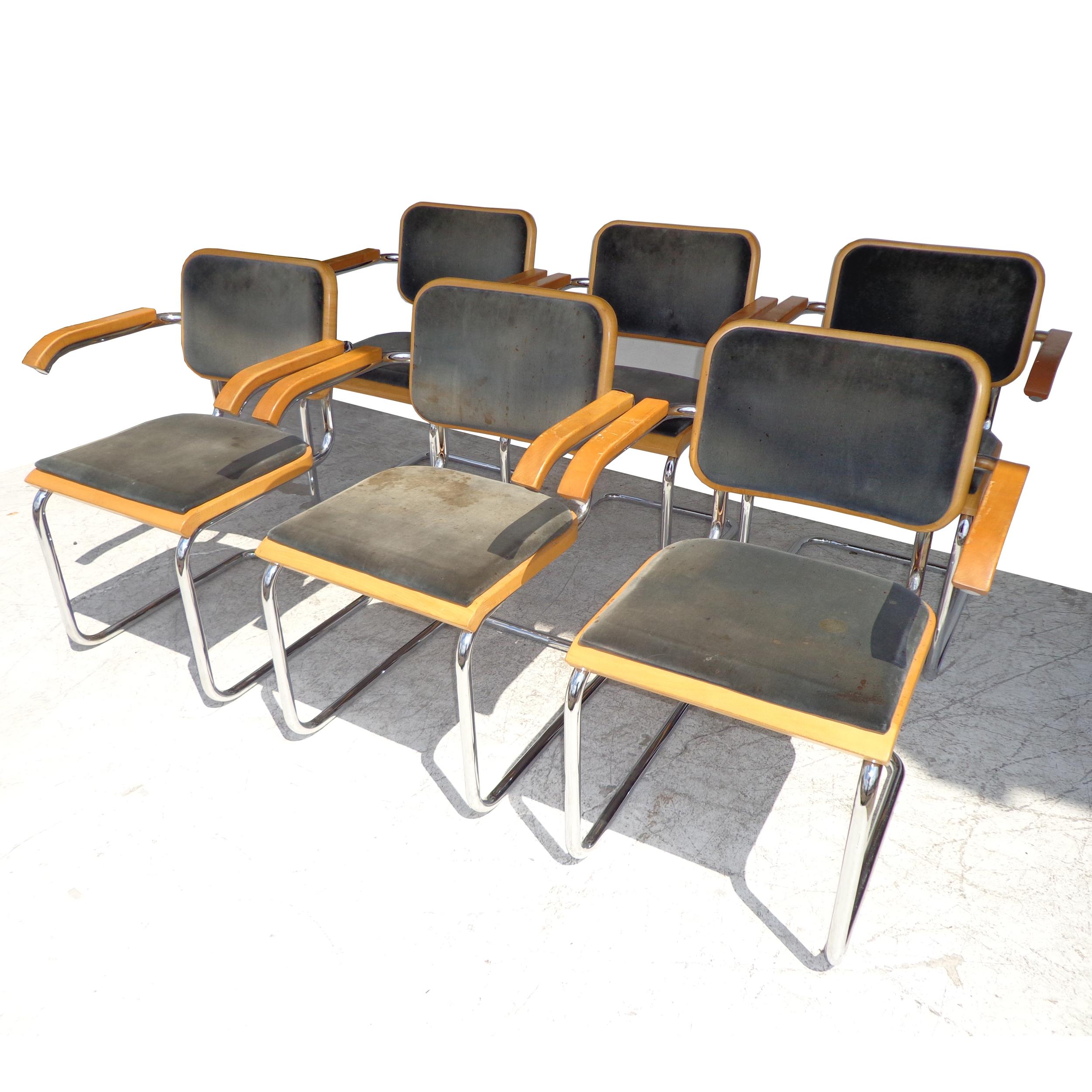 Ensemble de 6 chaises Cesca de Thonet par Marcel Breuer Bon état - En vente à Pasadena, TX