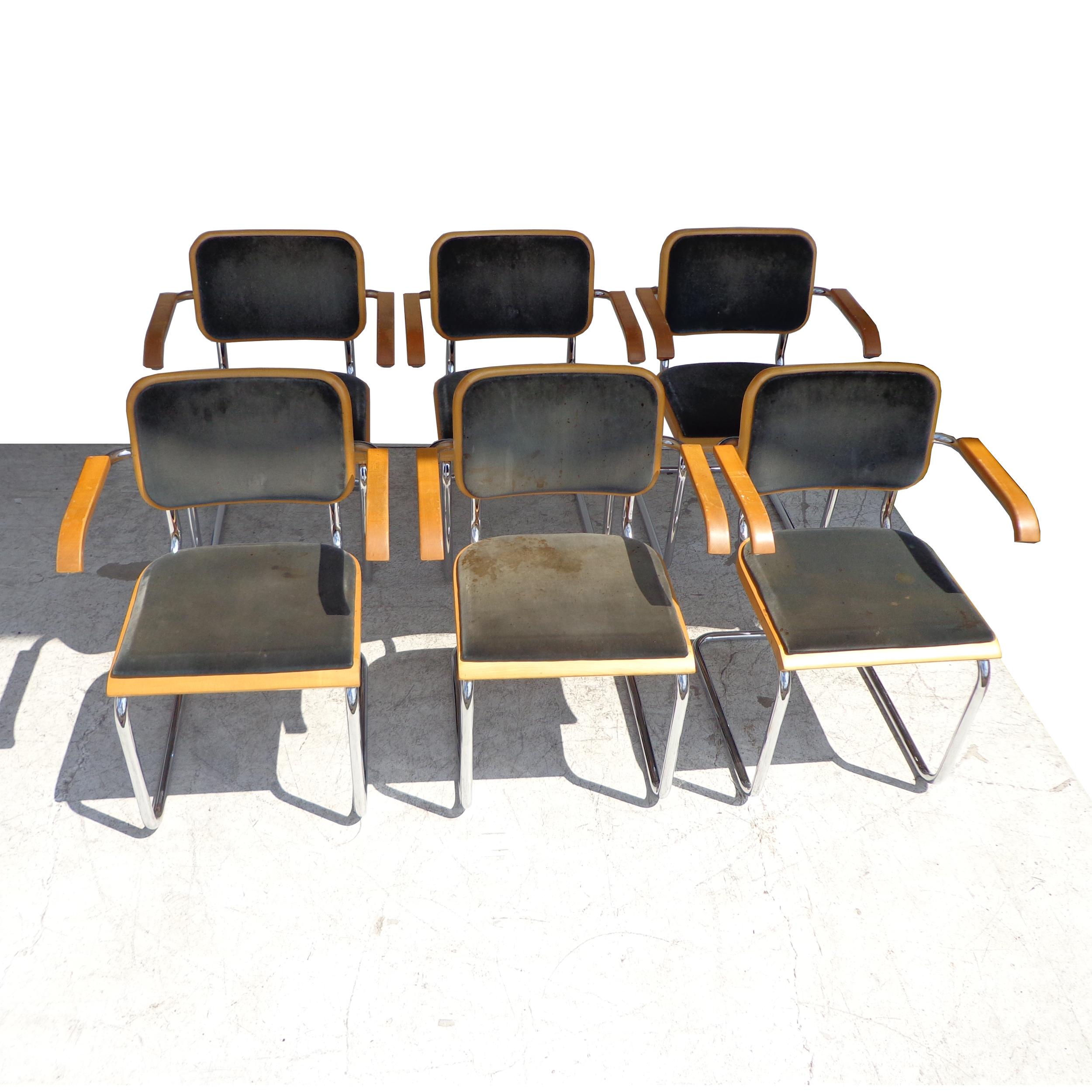 Mid-Century Modern Set of 6 Thonet Cesca Chairs by Marcel Breuer For Sale
