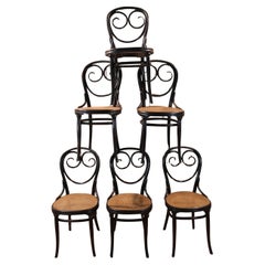 Dining Room Chairs
