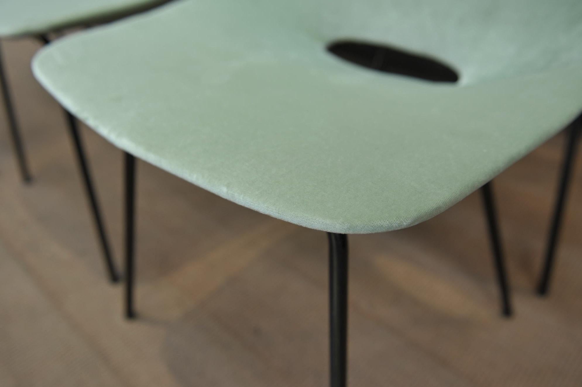 Set of 6 Tonneau Chairs by Pierre Guariche for Steiner, 1954 For Sale 2