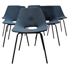 Set of 6 'Tonneau' chairs by Pierre Guariche for Steiner, Circa 50