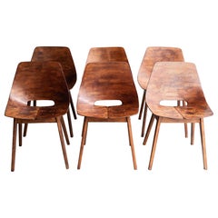 Set aus 6 Tonneau-Stühlen von Pierre Guariche für Steiner