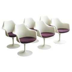 Juego de 6 sillones Tulip de Eero Saarinen para Knoll, tapicería plomada, años 60