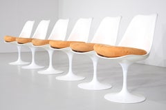 Ensemble de 6 chaises Tulip par Eero Saarinen pour Knoll International - 1981