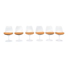 Ensemble de 6 chaises Tulip par Eero Saarinen pour Knoll International - 1981