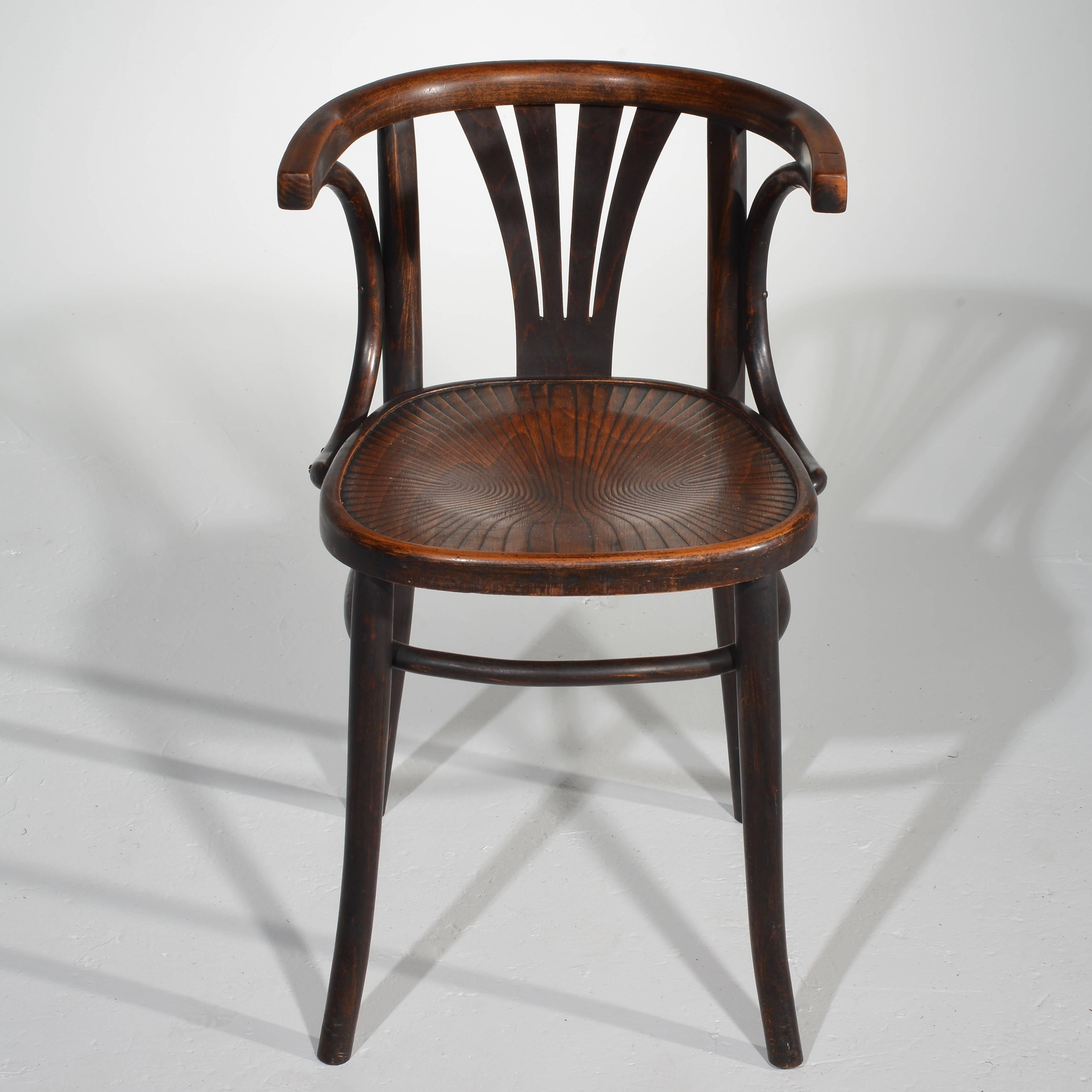 Set of Six Turn of the Century Thonet Bentwood Chairs 4