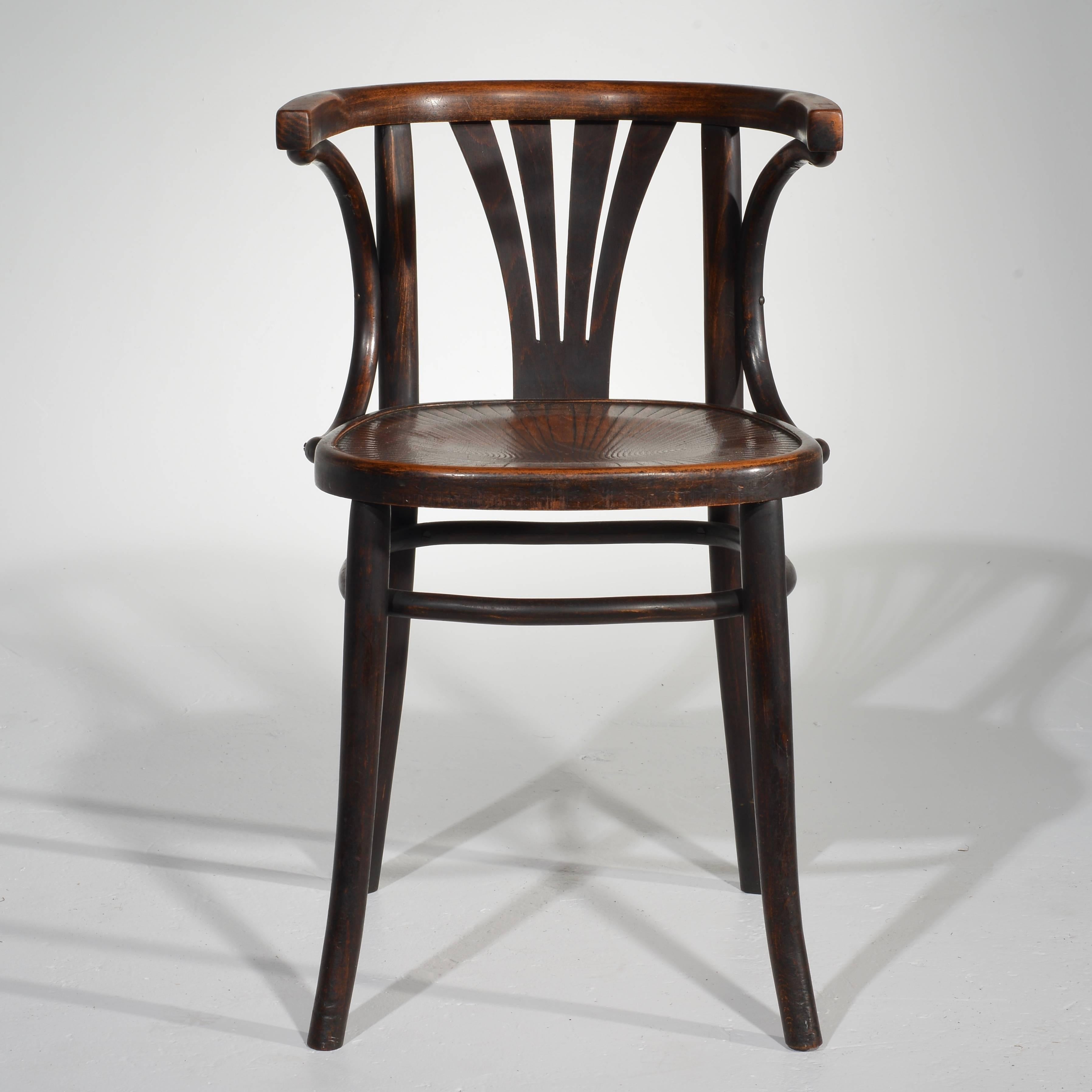 Set of Six Turn of the Century Thonet Bentwood Chairs 3
