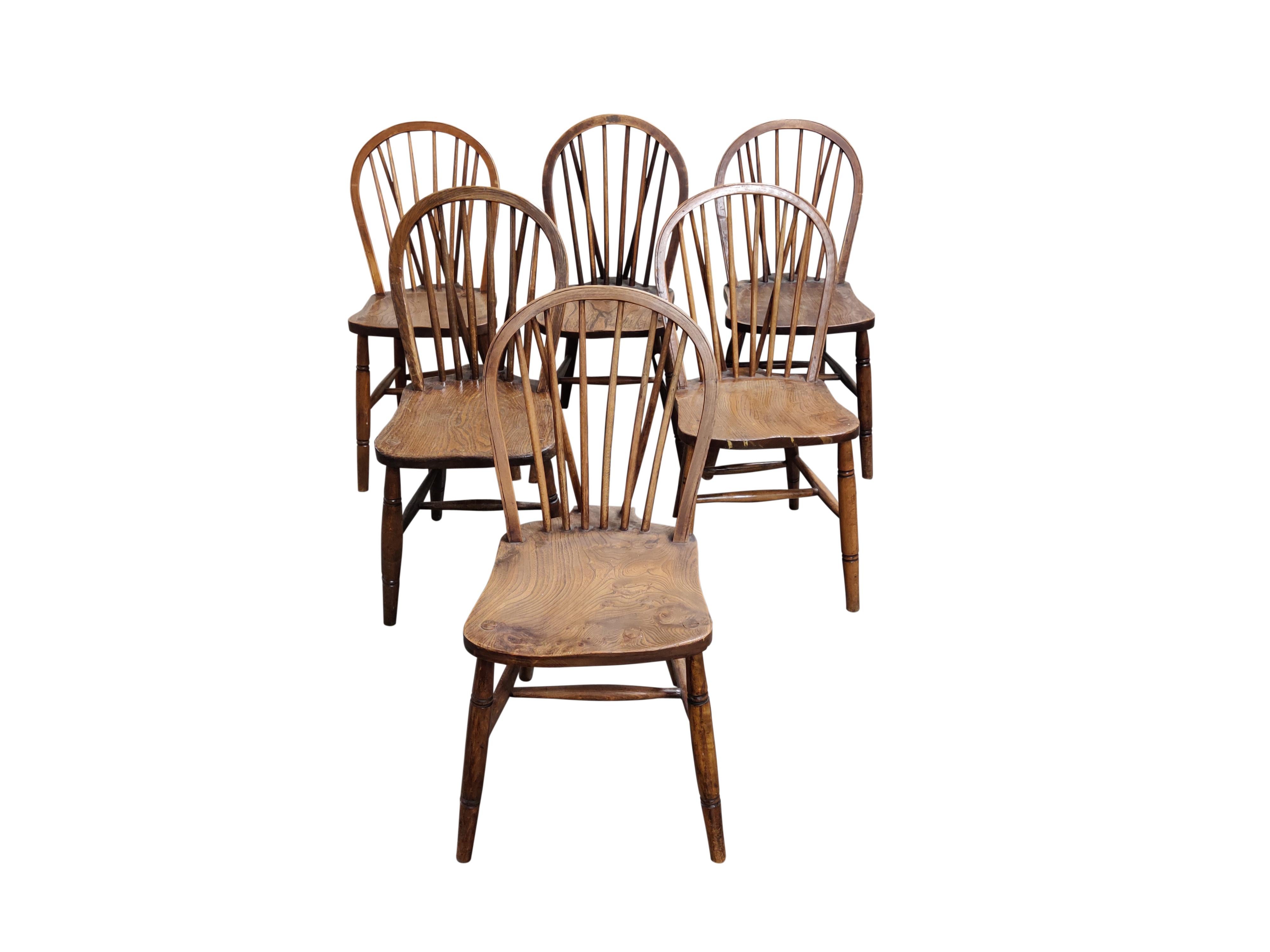 Italian Set of 6 Unique Vintage Solid Wooden Ercol Dining Chairs by Lucian Ercolani