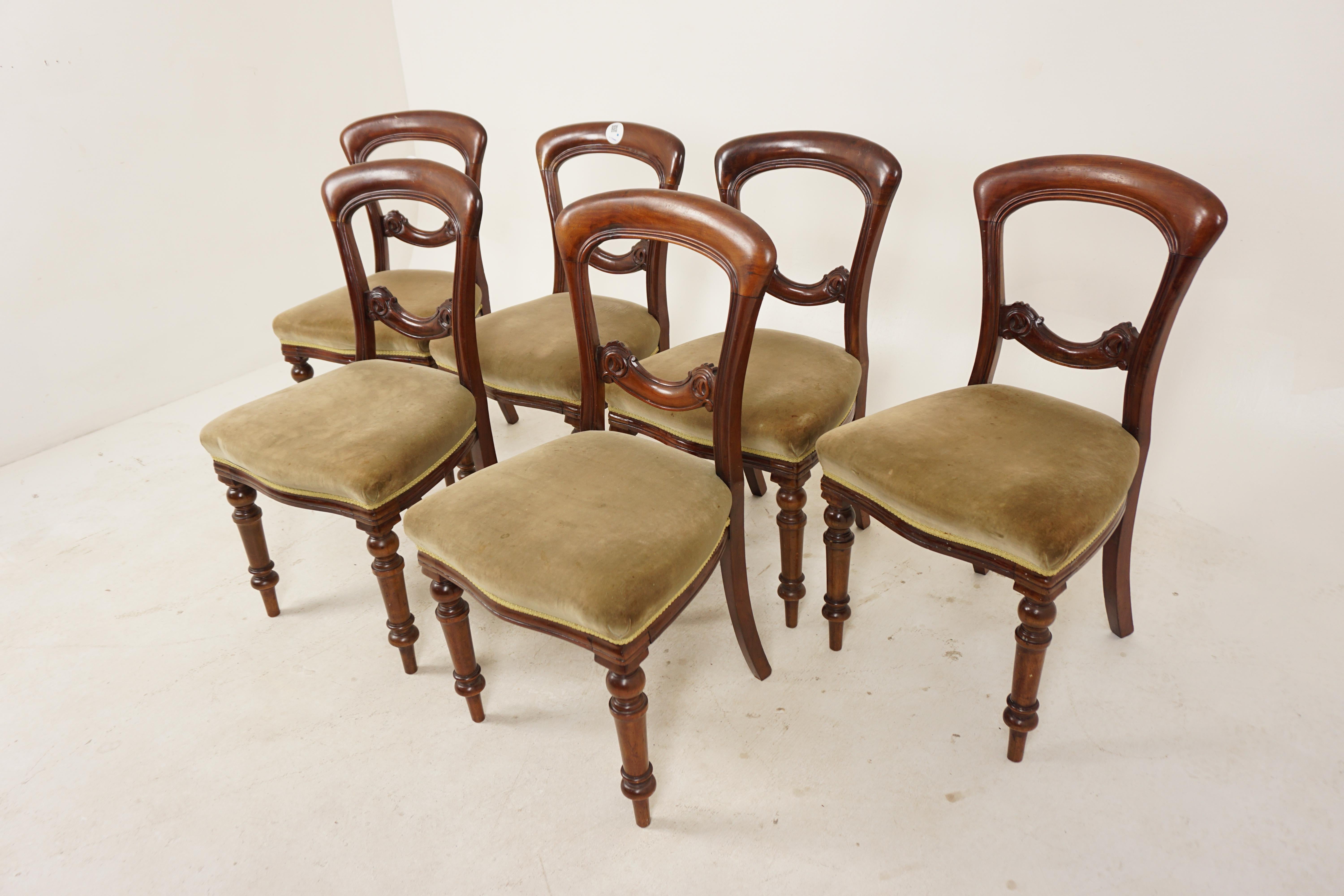 Set of 6 Victorian carved walnut upholstered dining chairs, Scotland 1880, H924.

Scotland 1880
Solid walnut
Solid finish
Curved shaped balloon open back
Carved shaped horizontal central splat
Green upholstered seat on moulded frame
Turned