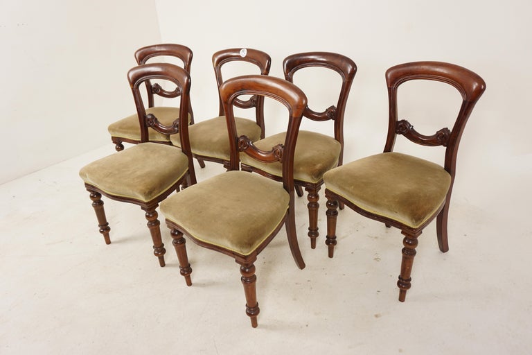Set of 6 Victorian Carved Walnut Upholstered Dining Chairs, Scotland