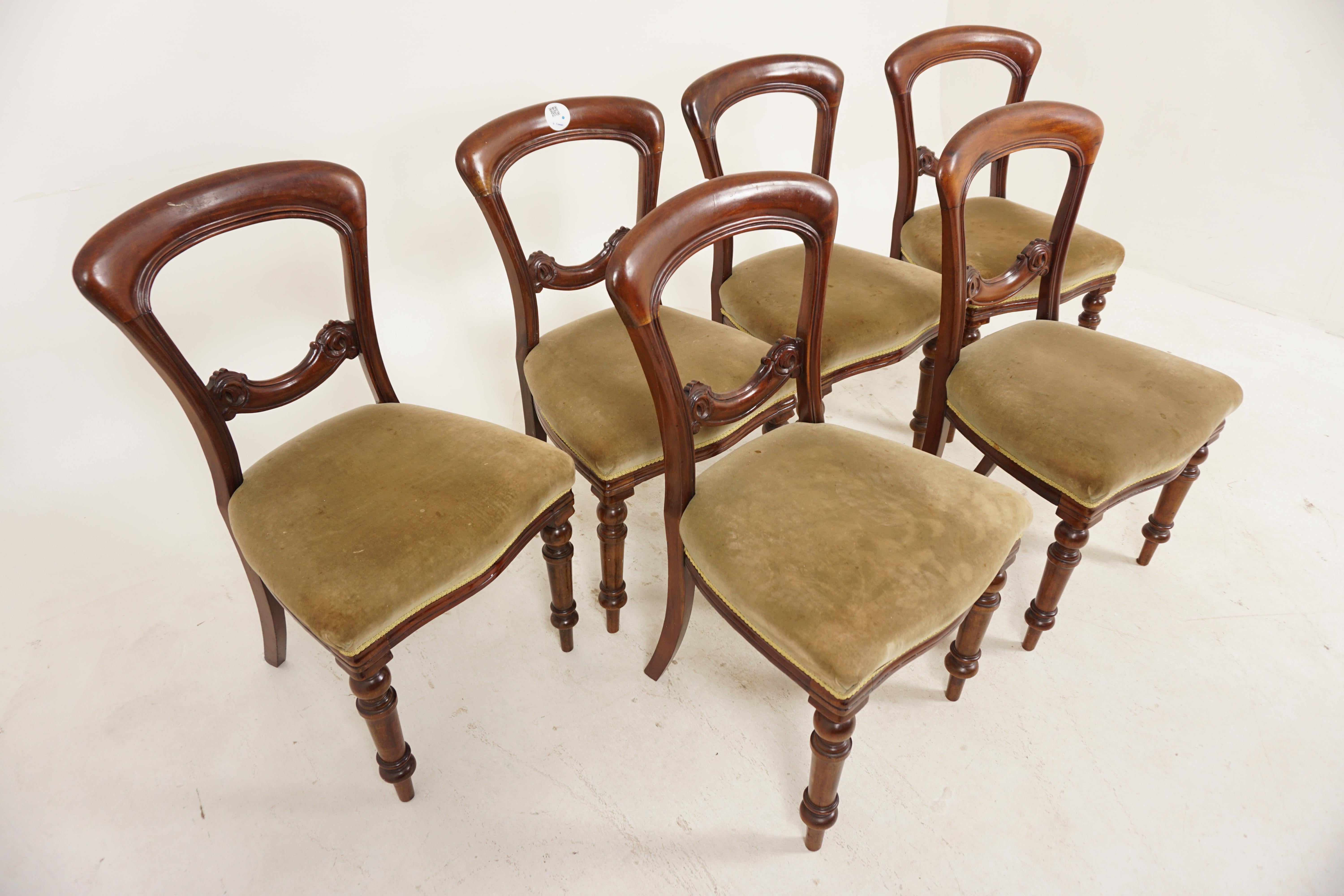 Scottish Set of 6 Victorian Carved Walnut Upholstered Dining Chairs, Scotland 1880, H924