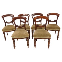 Set of 6 Victorian Carved Walnut Upholstered Dining Chairs, Scotland 1880, H924