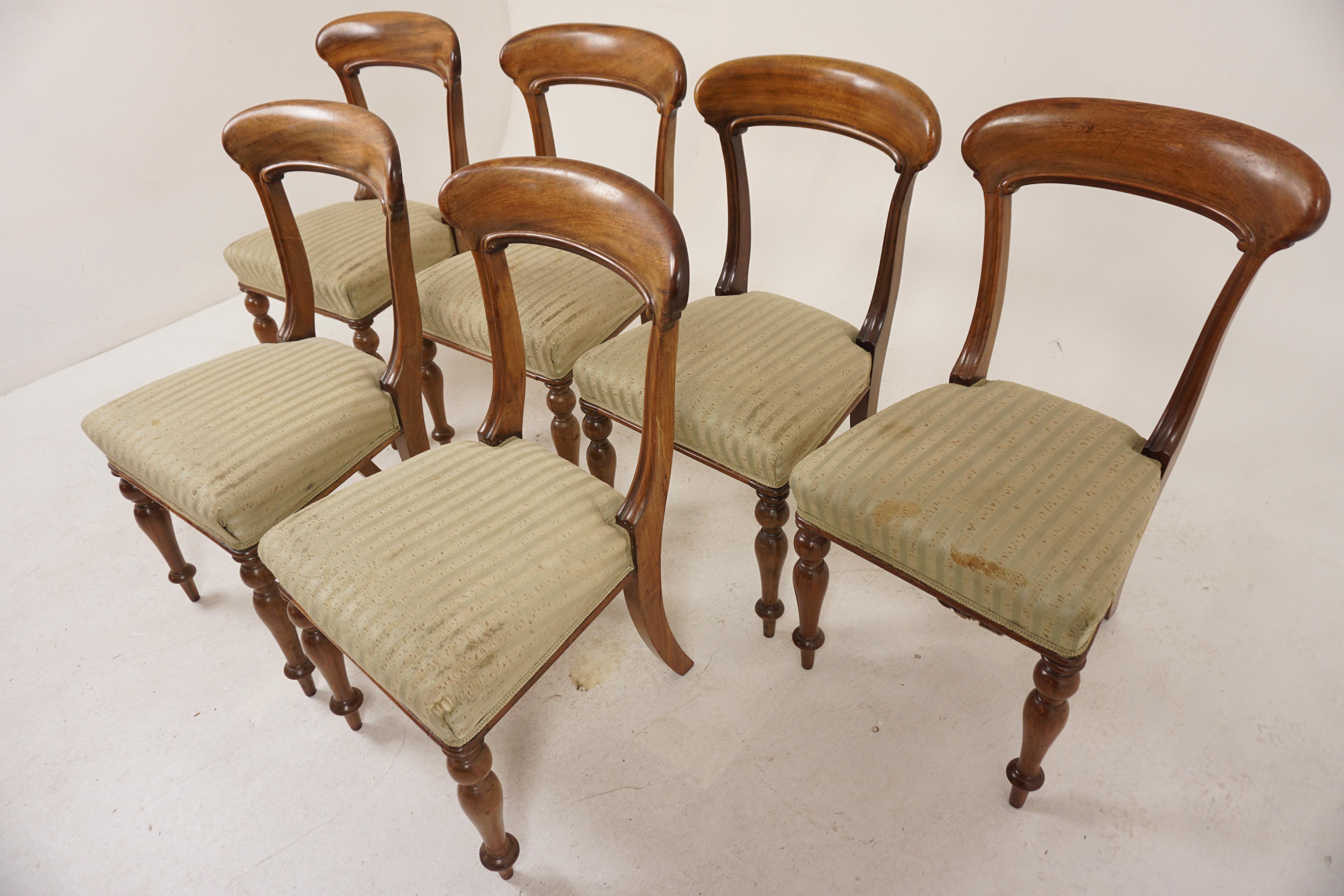 Set of 6 Victorian Walnut Upholstered Dining Chairs, Scotland 1860, H1190

Scotland 1860
Solid Walnut
Original finish
Large curved cresting rail on top with elegant scrolling beneath
Uprights with reeding which continues and tapers at the top