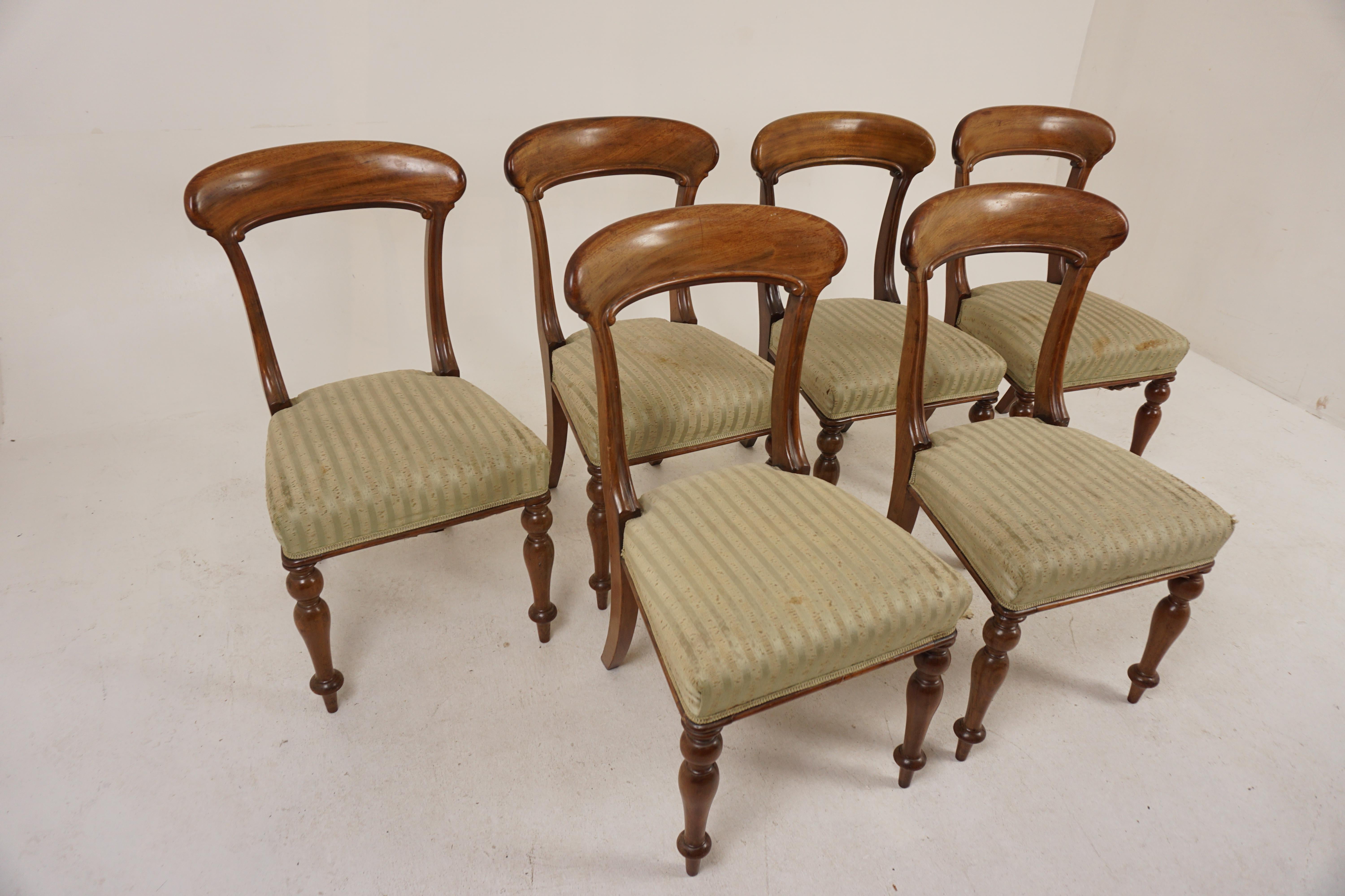 Scottish Set of 6 Victorian Walnut Upholstered Dining Chairs, Scotland 1860, H1190 For Sale