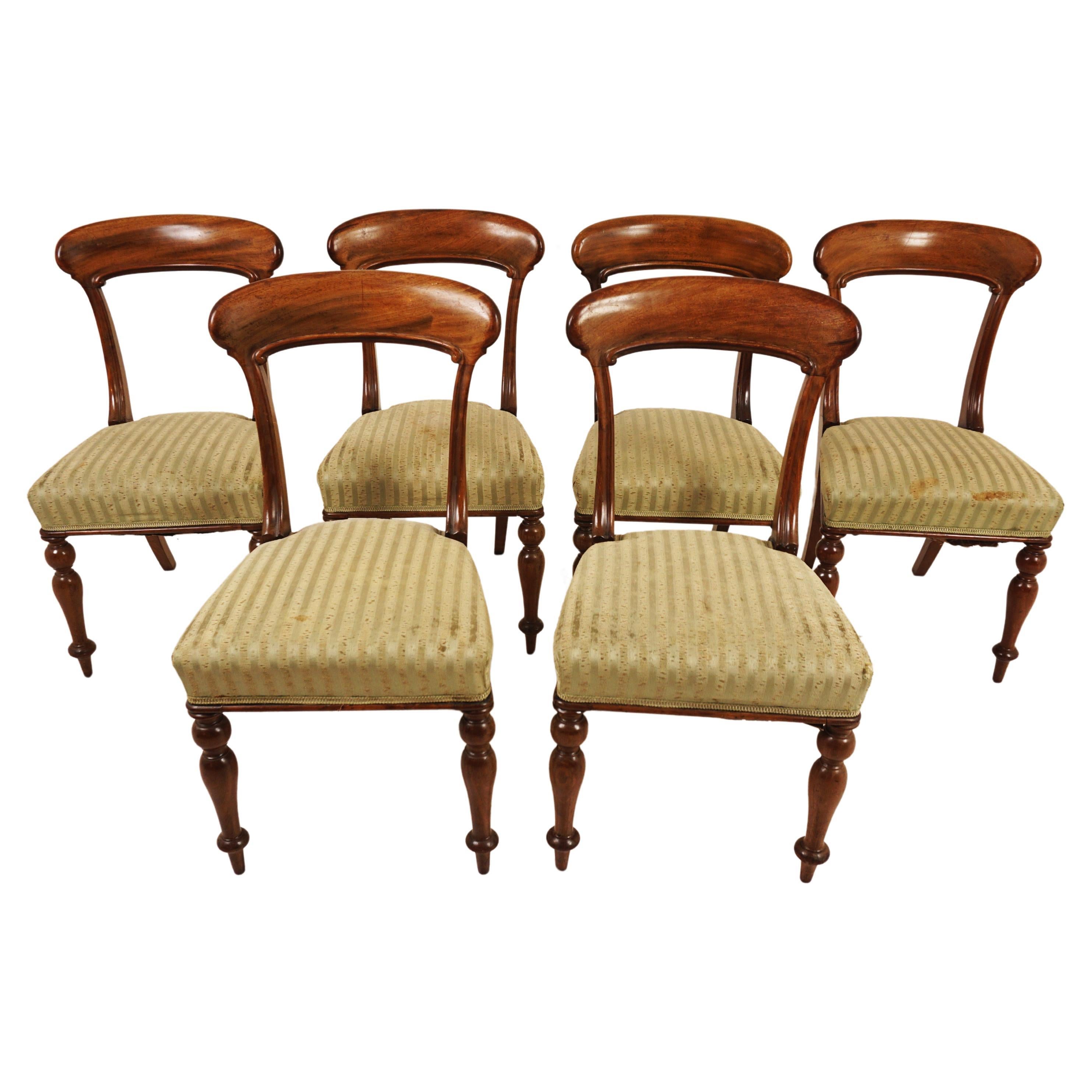 Satz von 6 viktorianischen gepolsterten Esszimmerstühlen aus Nussbaumholz, Schottland 1860, H1190 im Angebot