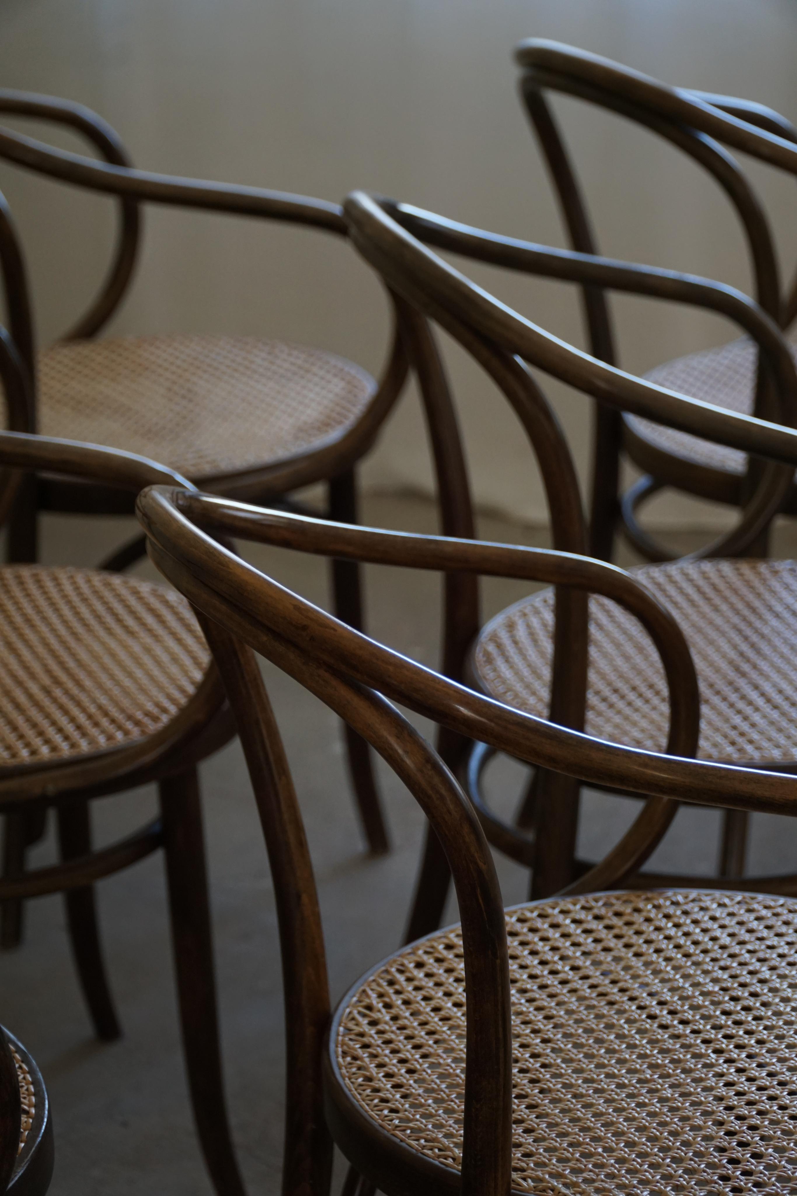 Set of 6 Vienna Chairs in Beech & Cane, Thonet, ZPM Radomsko, Mid-Century, 1960s For Sale 3