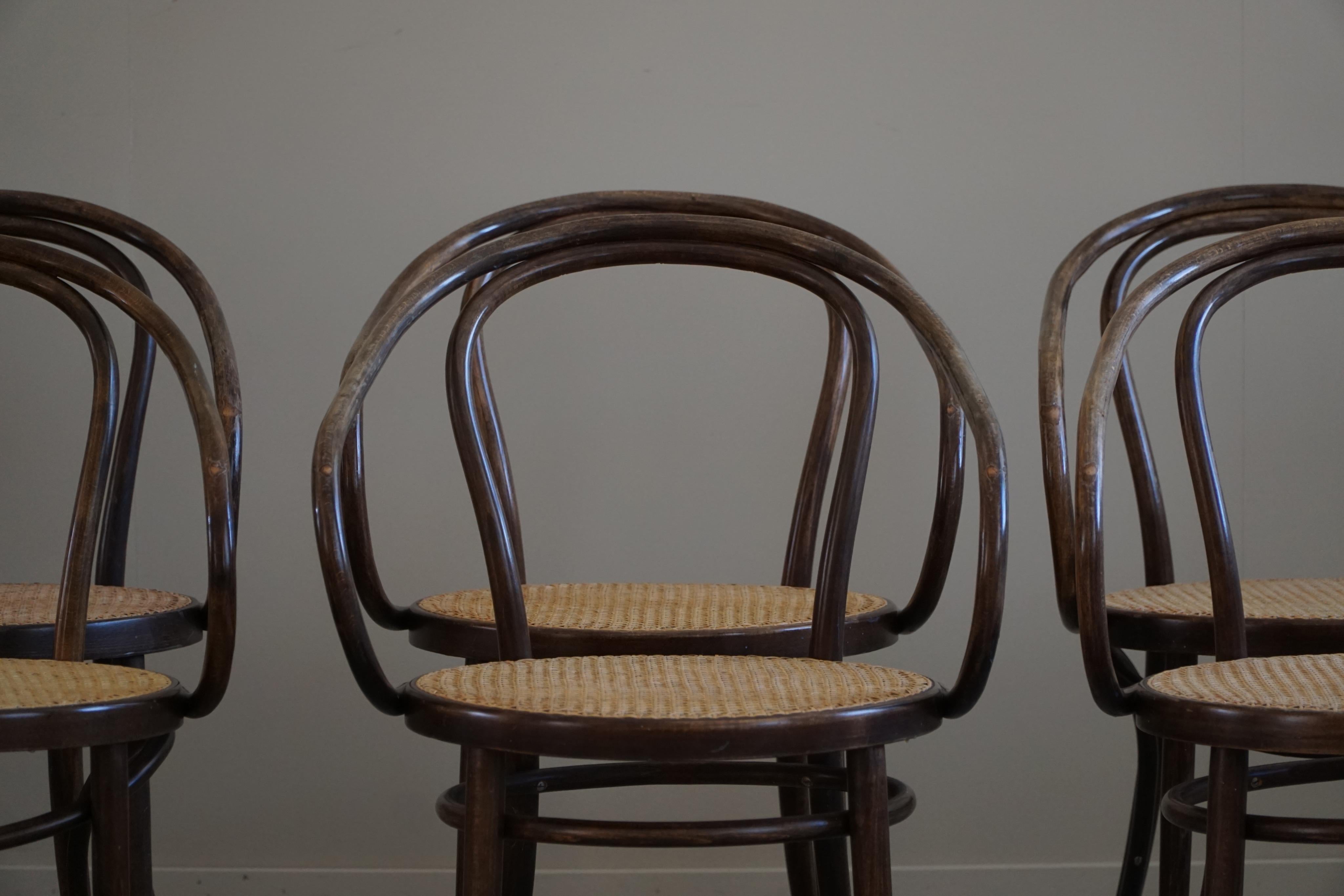 Set of 6 Vienna Chairs in Beech & Cane, Thonet, ZPM Radomsko, Mid-Century, 1960s For Sale 6