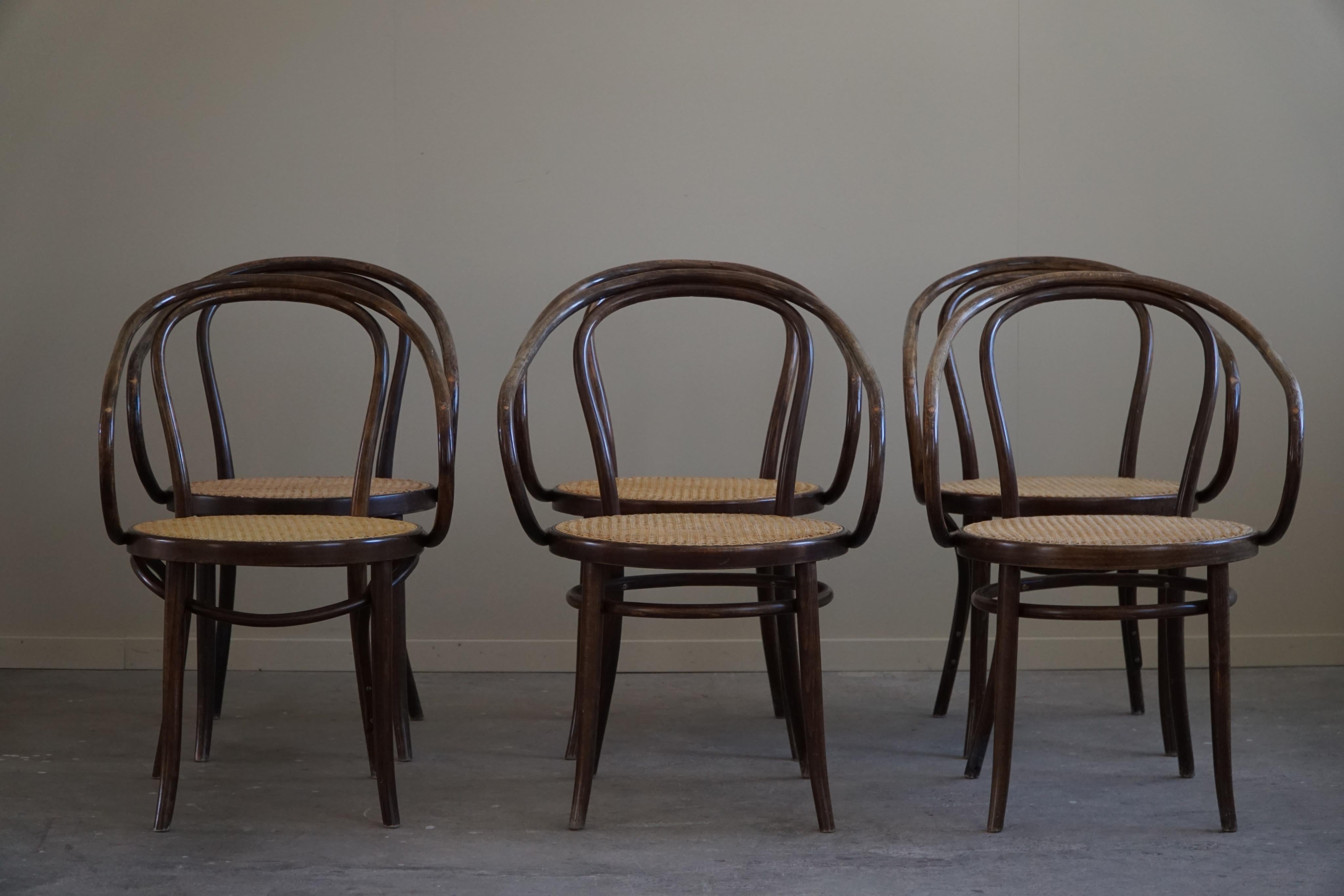 Set of 6 Vienna Chairs in Beech & Cane, Thonet, ZPM Radomsko, Mid-Century, 1960s For Sale 7