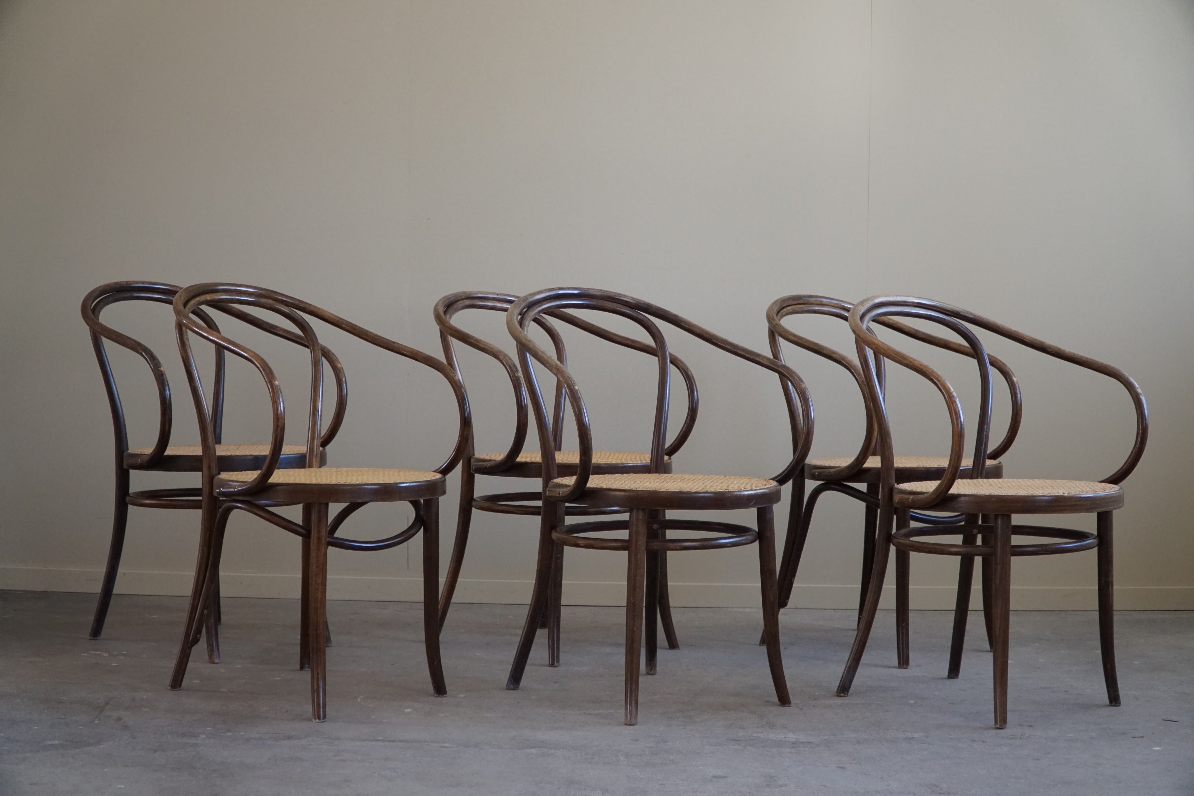 6 Sessel / Esszimmerstühle entworfen von Thonet. Diese Stühle wurden in den 1960er Jahren bei ZPM Radomsko hergestellt und sind mit einer Kennzeichnung wie einem Label des Herstellers versehen. Der Entwurf für diesen Bugholzsessel stammt aus dem