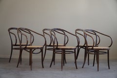Set of 6 Vienna Chairs in Beech & Cane, Thonet, ZPM Radomsko, Mid-Century, 1960s