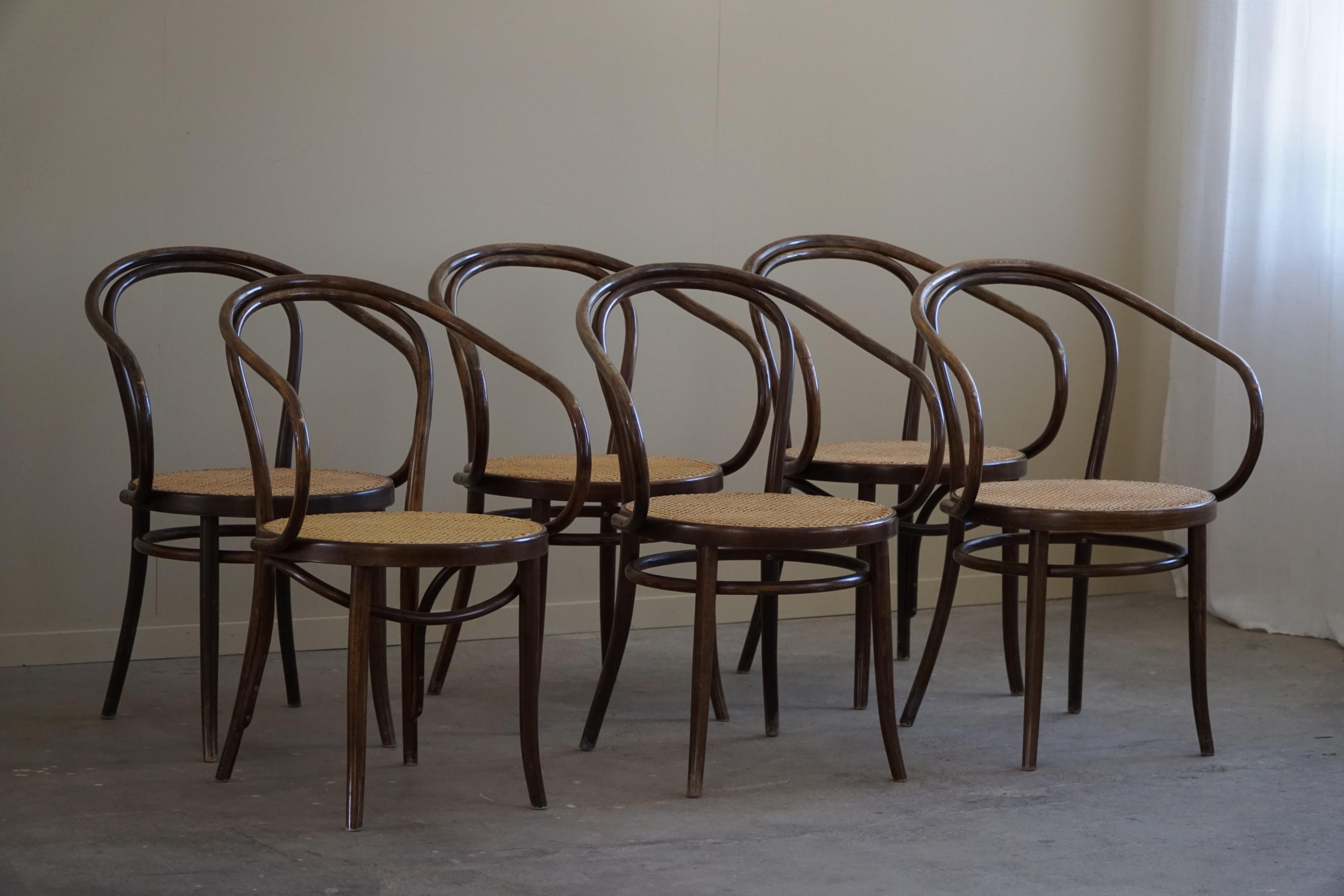 Mid-Century Modern Set of 6 Vienna Chairs in Beech & Cane, Thonet, ZPM Radomsko, Mid-Century, 1960s For Sale