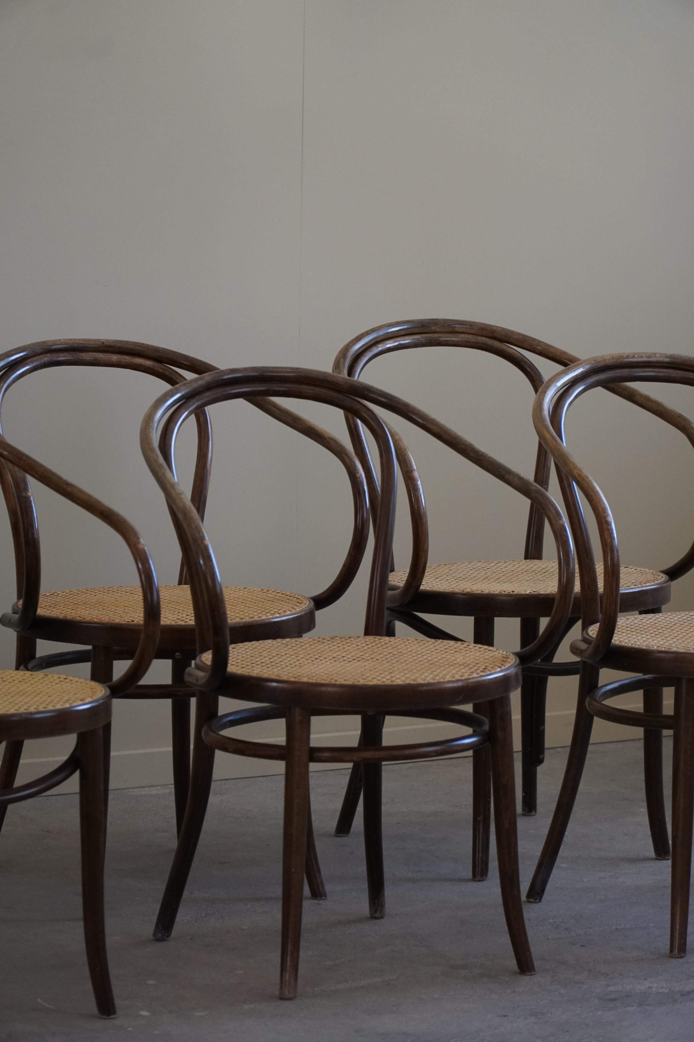 Czech Set of 6 Vienna Chairs in Beech & Cane, Thonet, ZPM Radomsko, Mid-Century, 1960s For Sale
