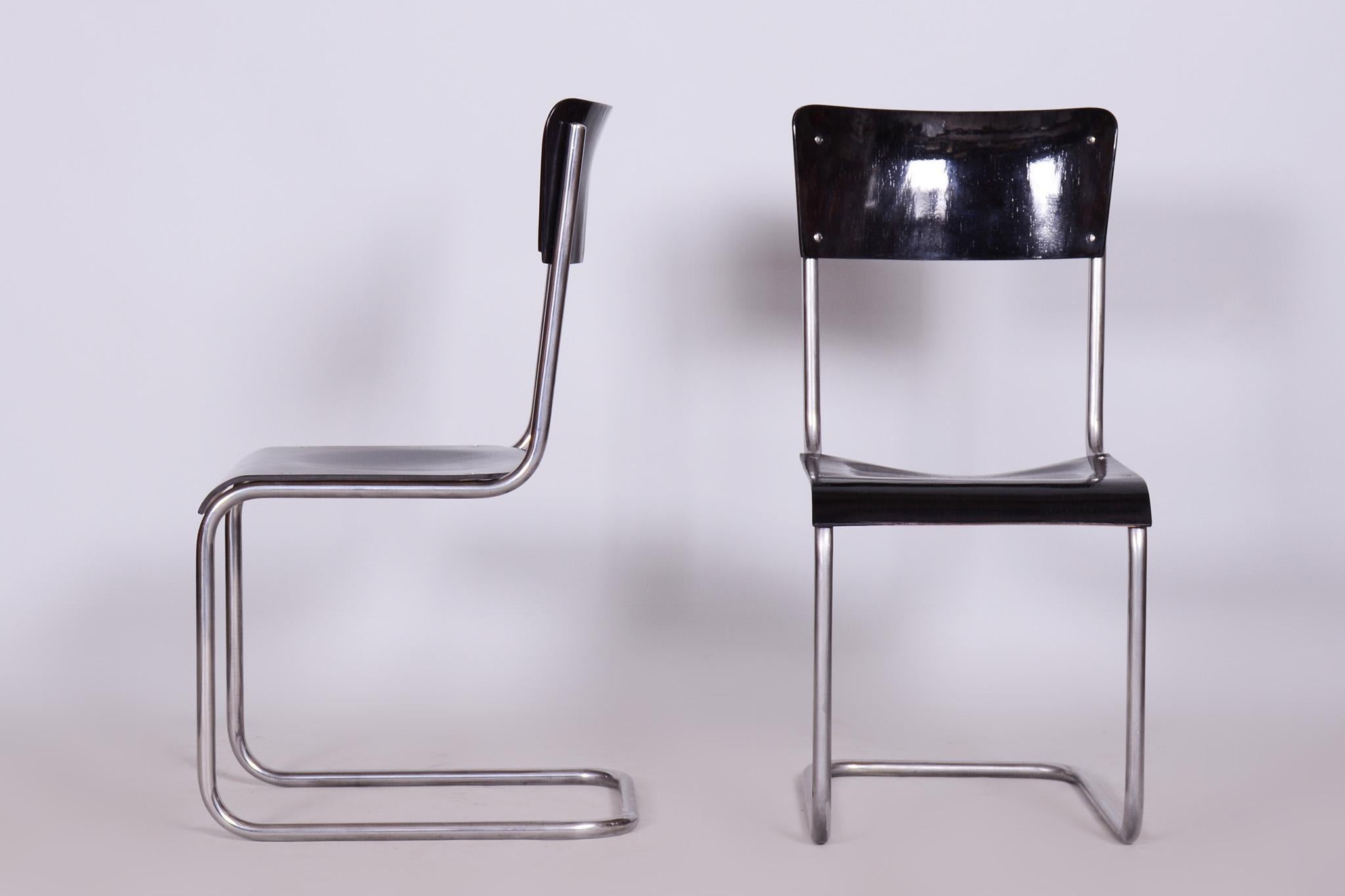 Set of 6 Vintage Bauhaus Chairs, Restored, Gloss, Vichr a Spol, Czechia, 1930s For Sale 6