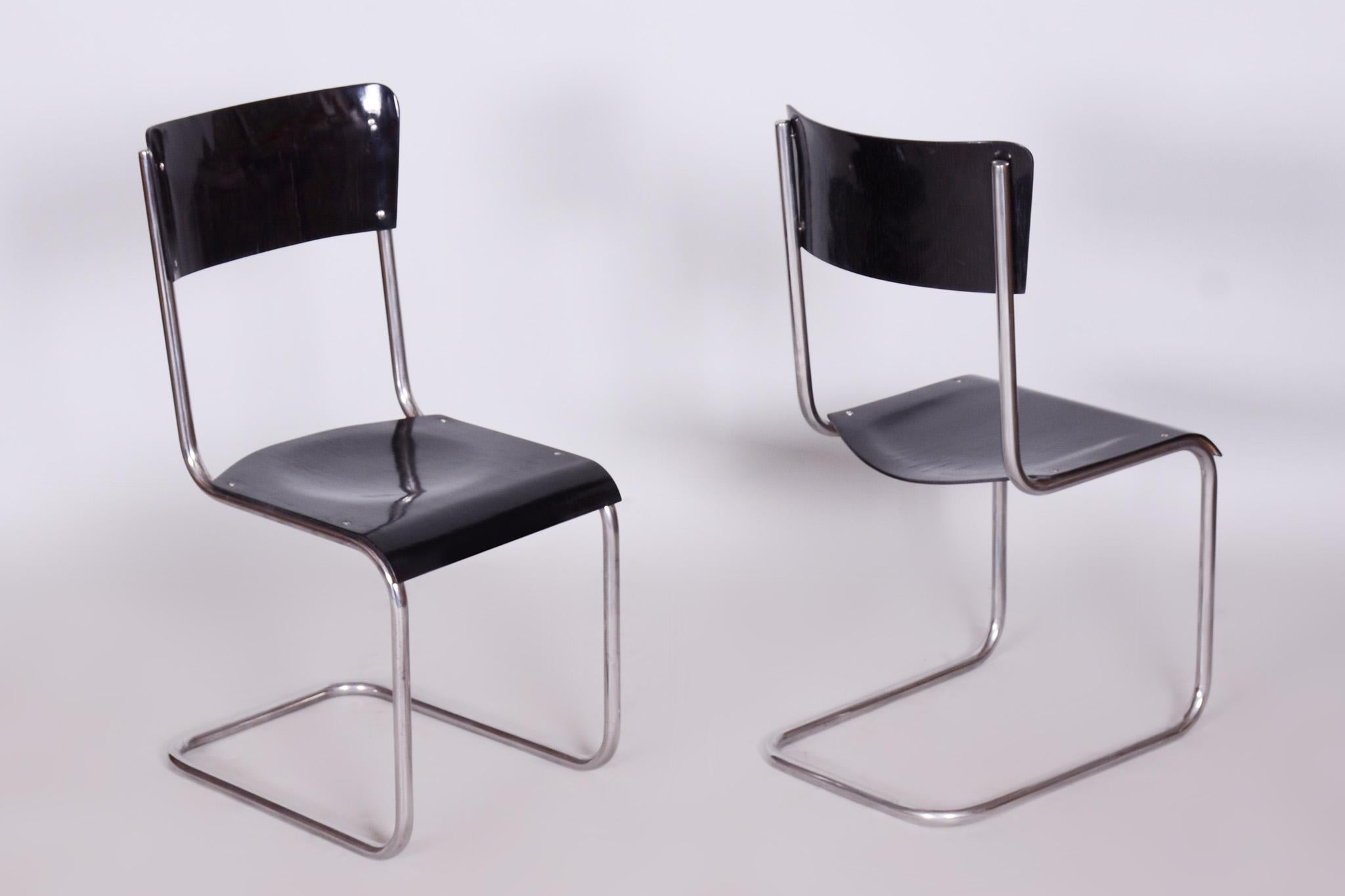 Set of 6 Vintage Bauhaus Chairs, Restored, Gloss, Vichr a Spol, Czechia, 1930s For Sale 8