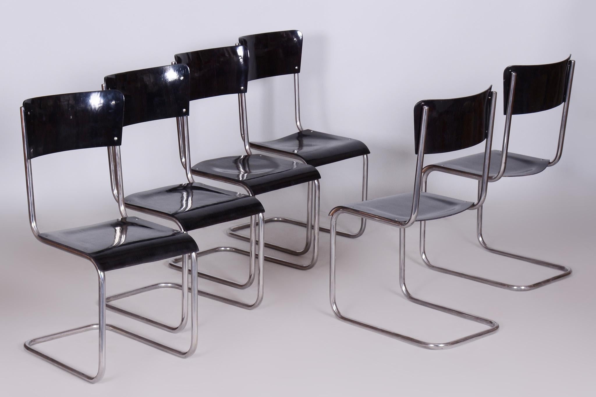 Chrome Set of 6 Vintage Bauhaus Chairs, Restored, Gloss, Vichr a Spol, Czechia, 1930s For Sale