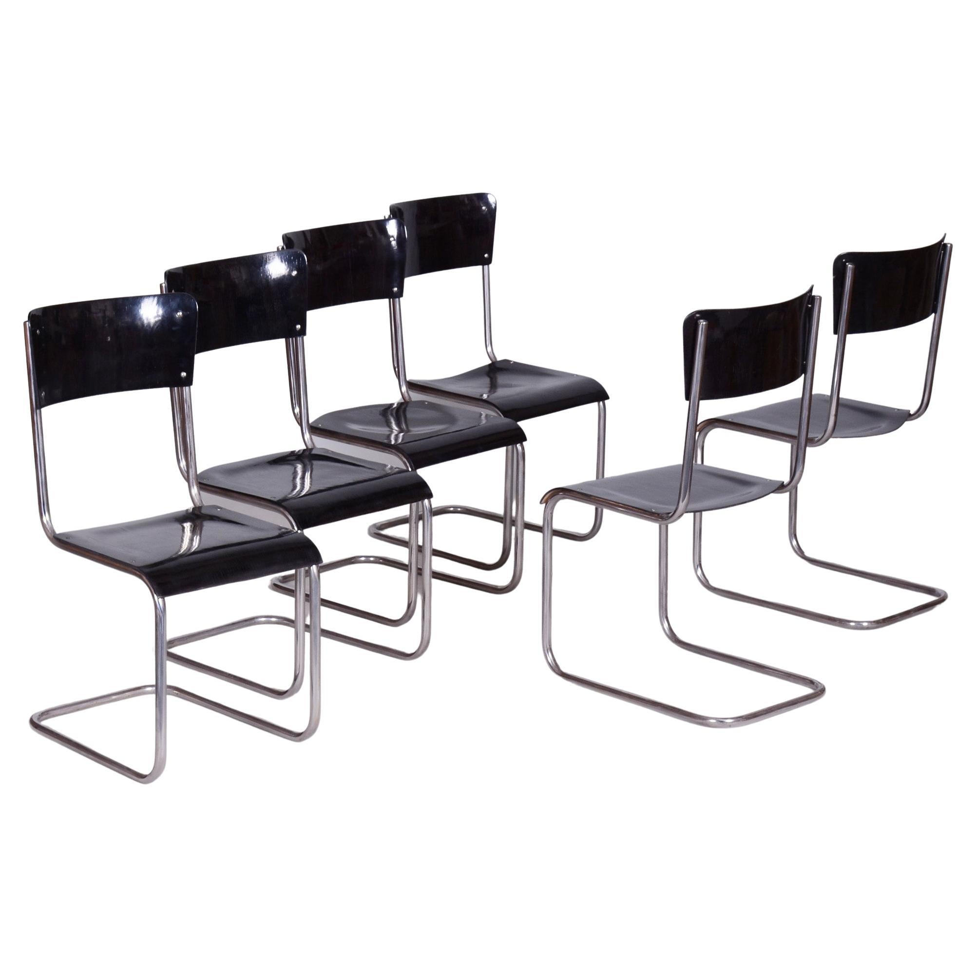 Set of 6 Vintage Bauhaus Chairs, Restored, Gloss, Vichr a Spol, Czechia, 1930s For Sale