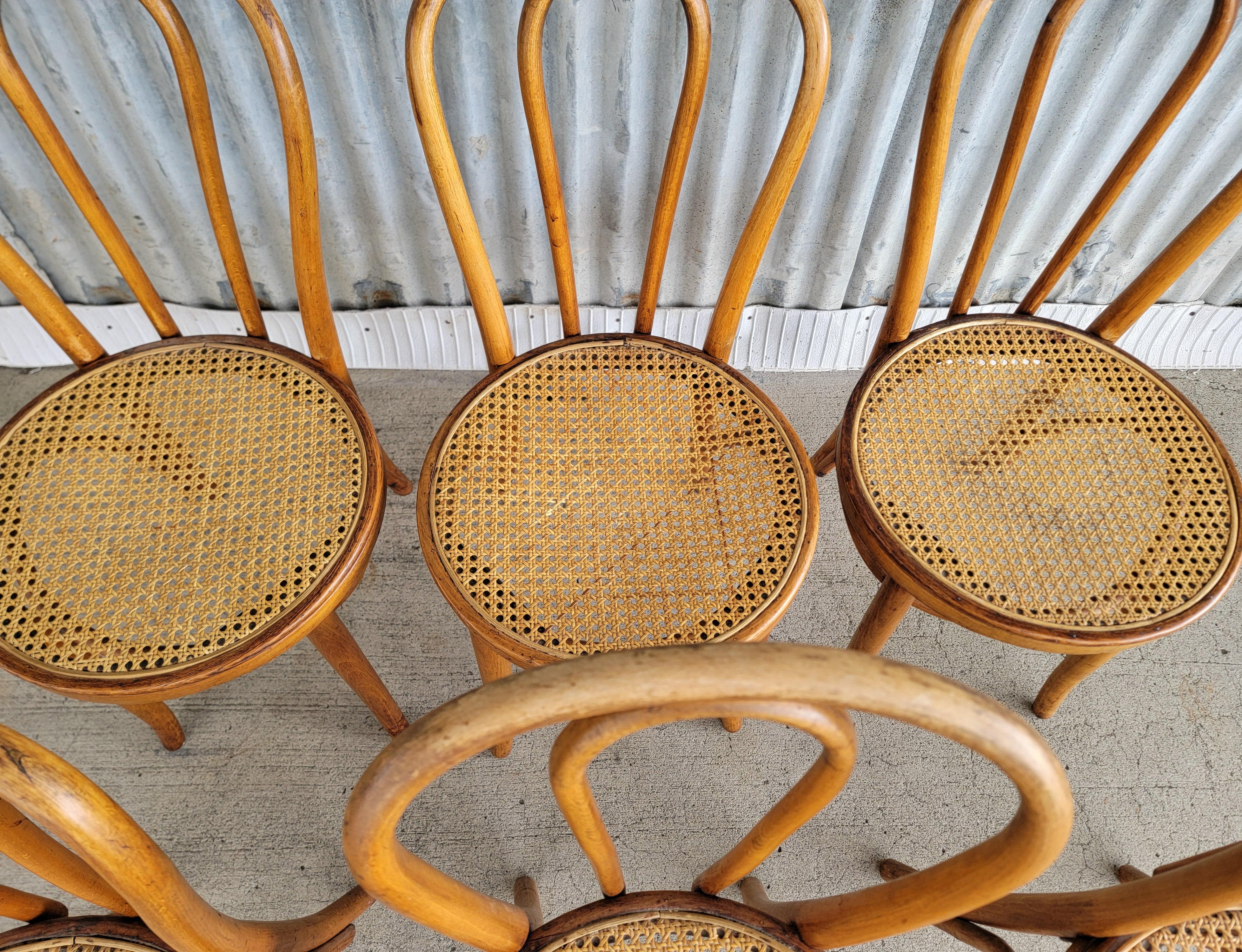 Set of 6 Vintage Bentwood & Cane Dining Chairs Cafe Bistro 4