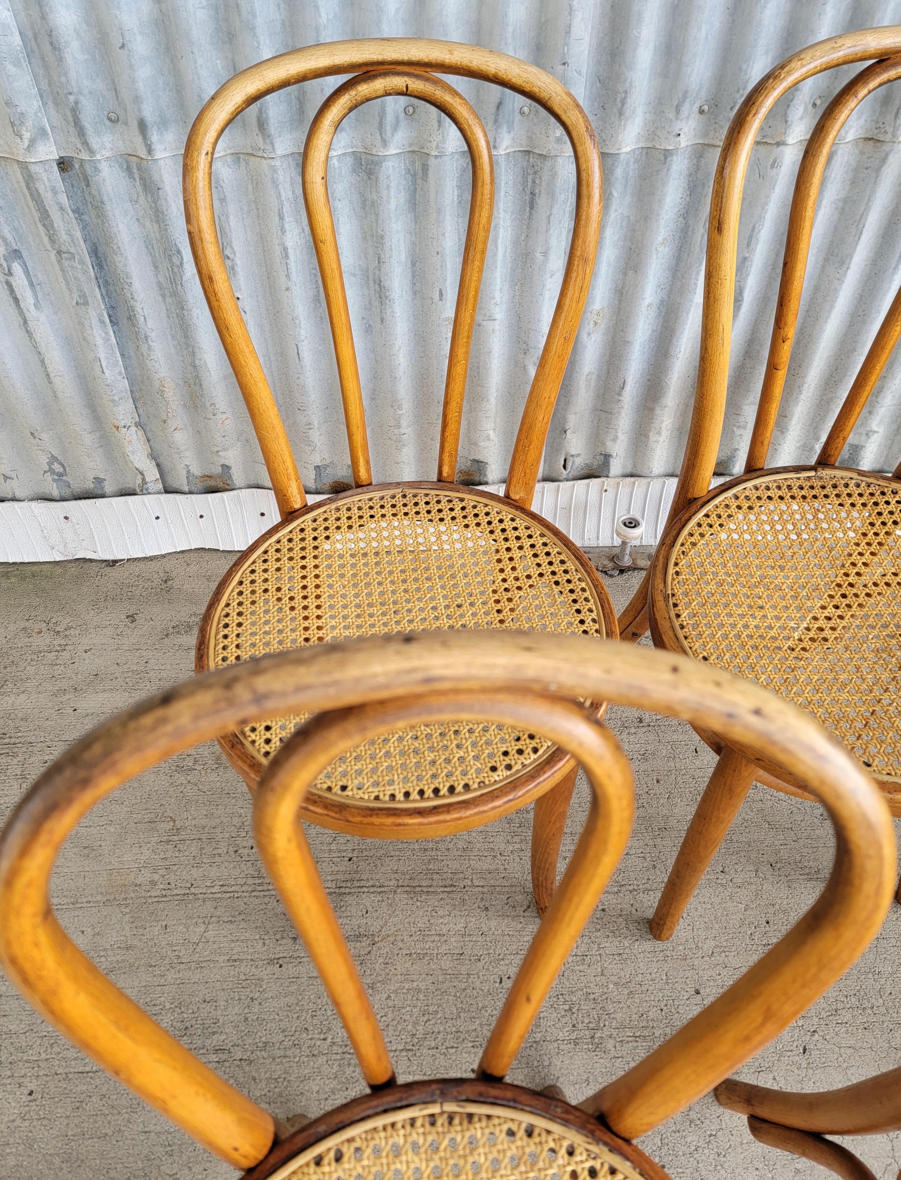 Set of 6 Vintage Bentwood & Cane Dining Chairs Cafe Bistro 5