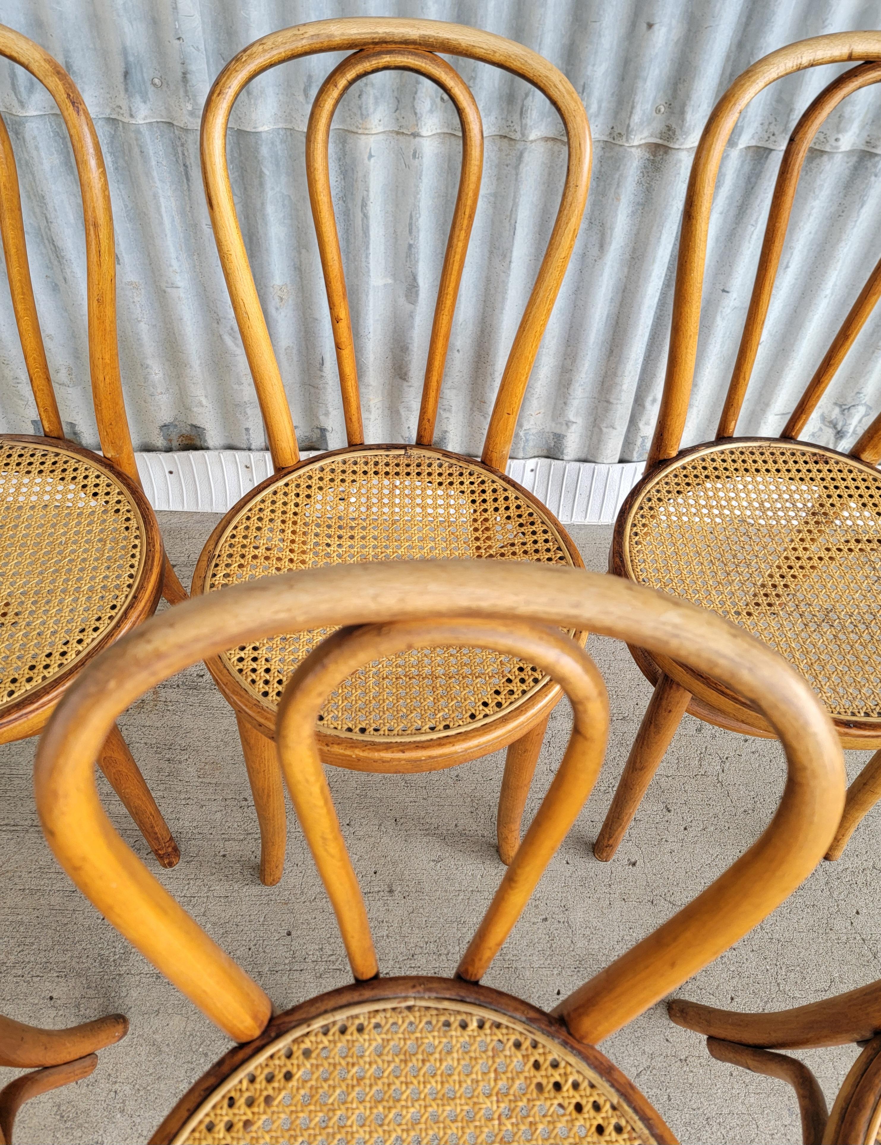 Set of 6 Vintage Bentwood & Cane Dining Chairs Cafe Bistro 6