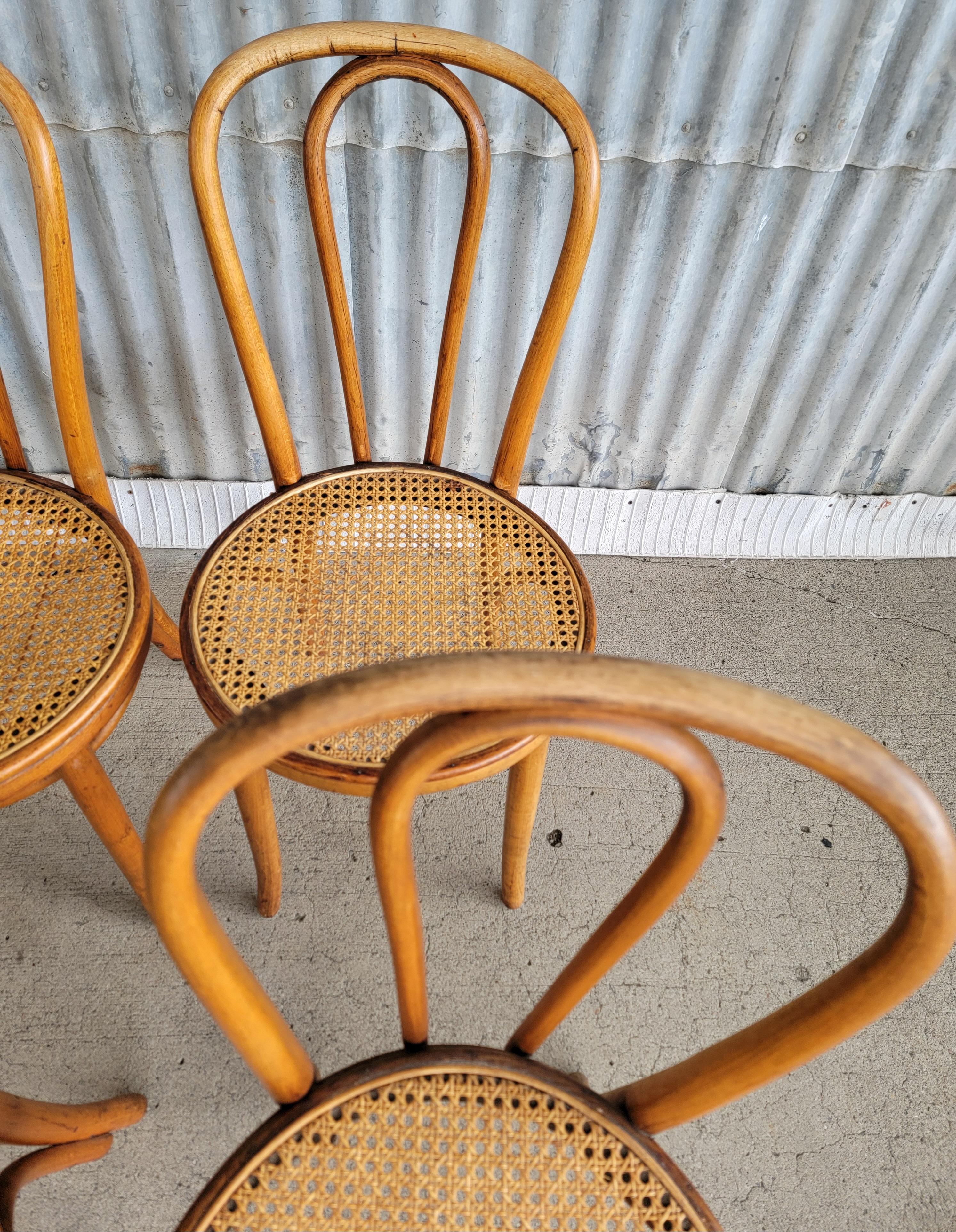 Set of 6 Vintage Bentwood & Cane Dining Chairs Cafe Bistro 7