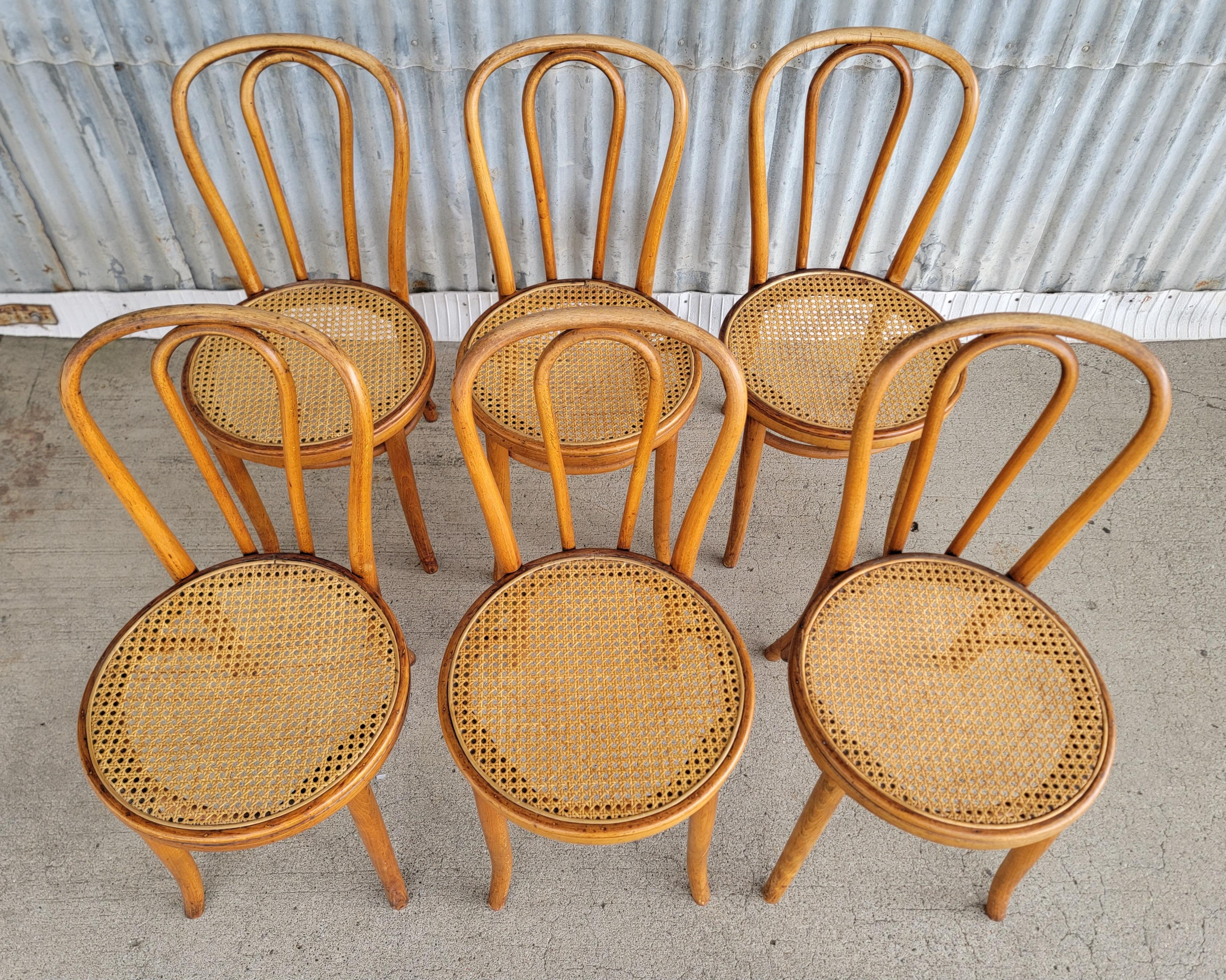 Bauhaus Set of 6 Vintage Bentwood & Cane Dining Chairs Cafe Bistro