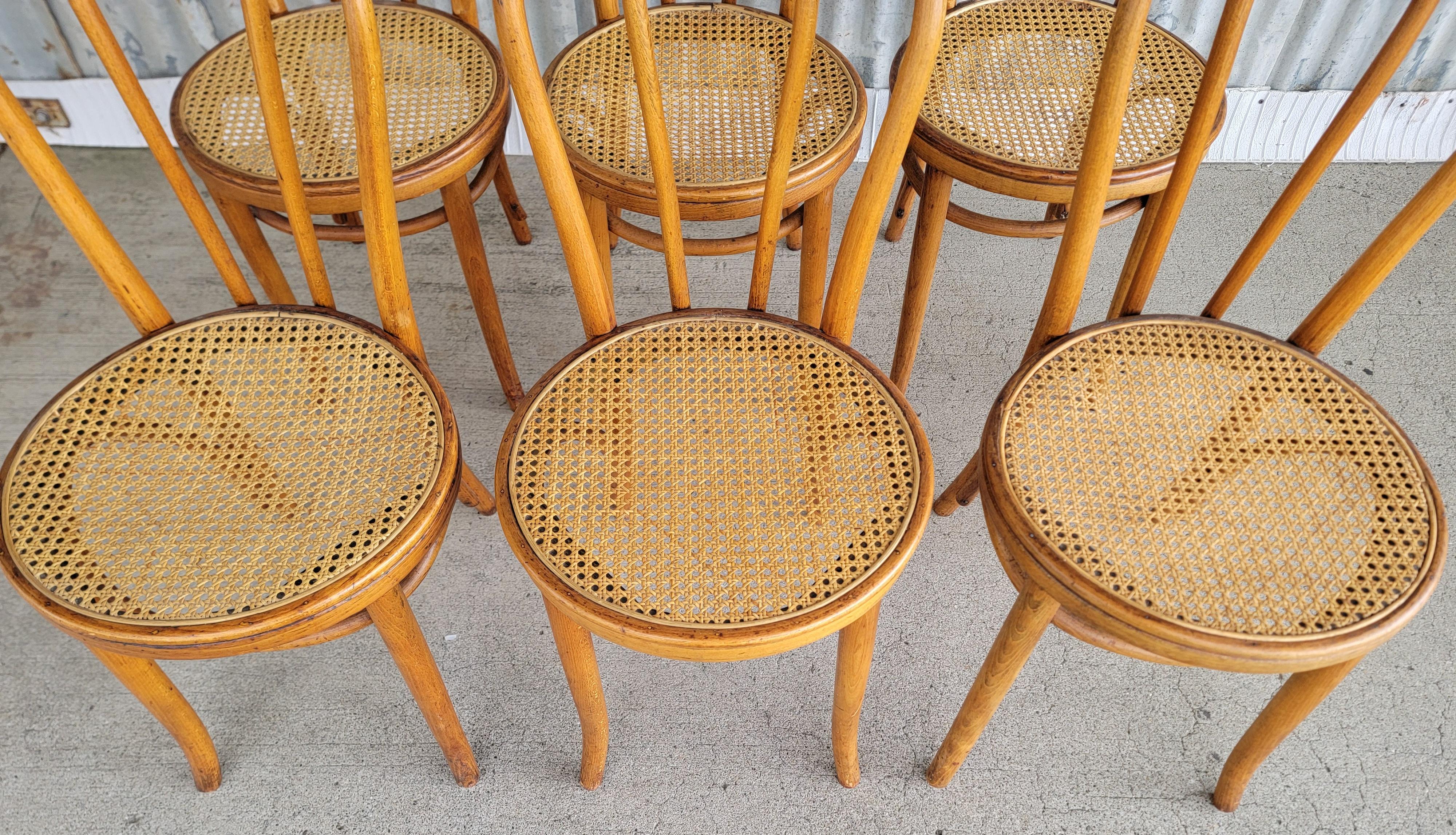 Set of 6 Vintage Bentwood & Cane Dining Chairs Cafe Bistro 3
