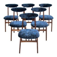 Set of 6 Vintage Chairs, Poland, Designed by R.T. Hałas, 1960s