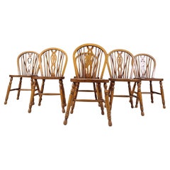 Lot de 6 vintage  Chaises de salle à manger Ercol, années 1950