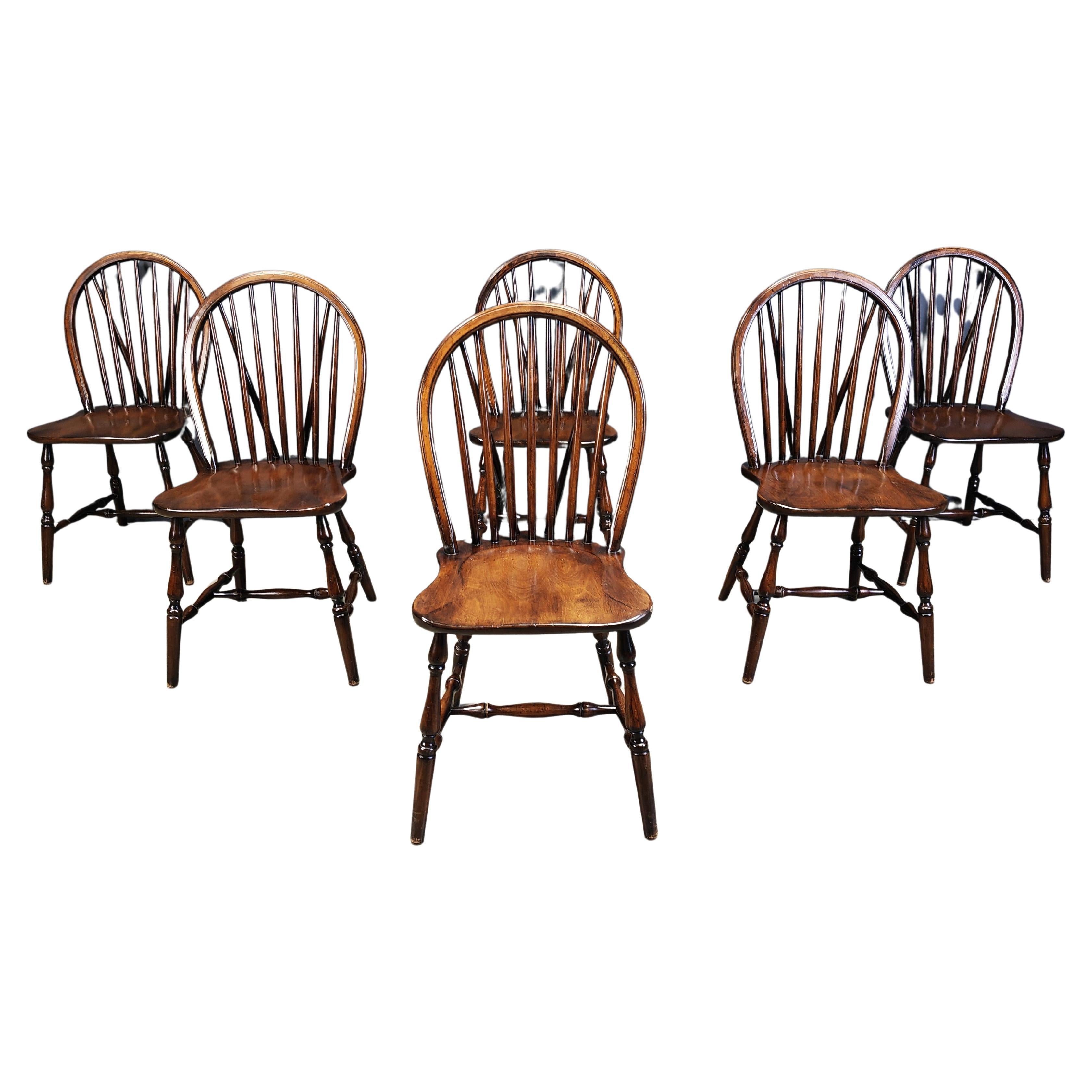 Set of 6 Vintage Ercol Dining Chairs , 1950
s