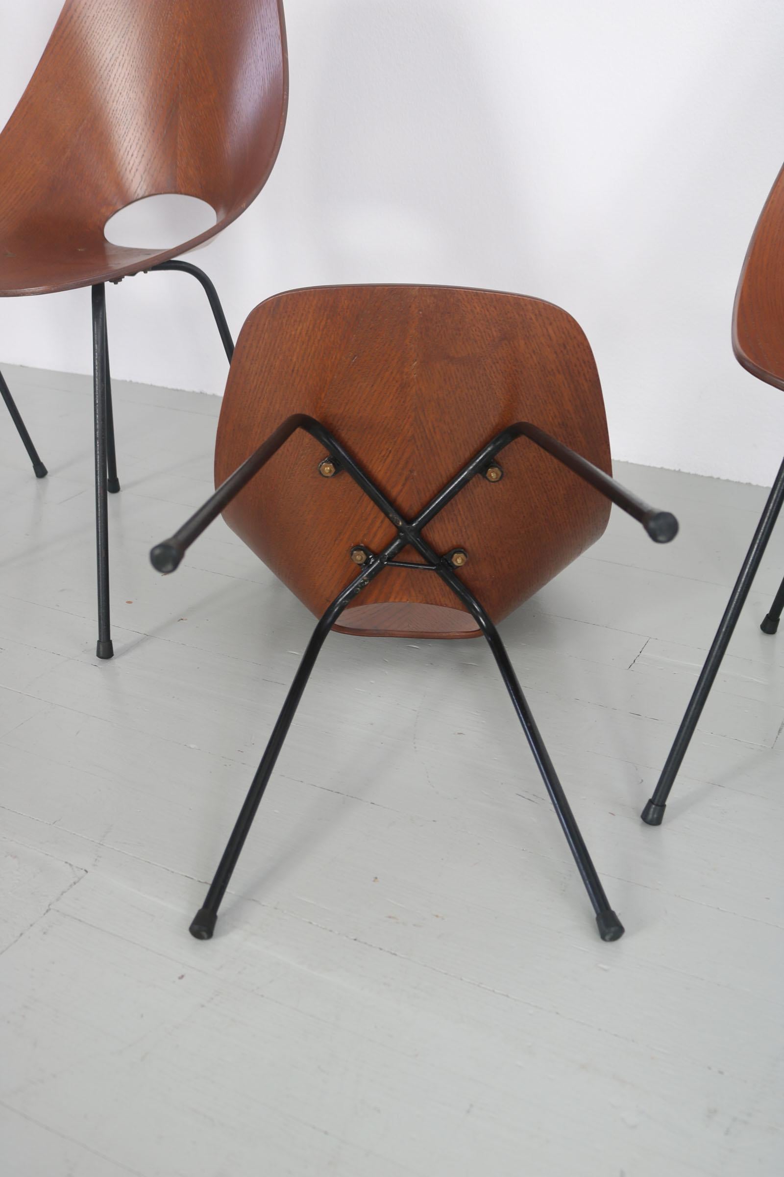 Set of 6 Vittorio Nobili Medea Plywood Chairs from Italy, 1954 11