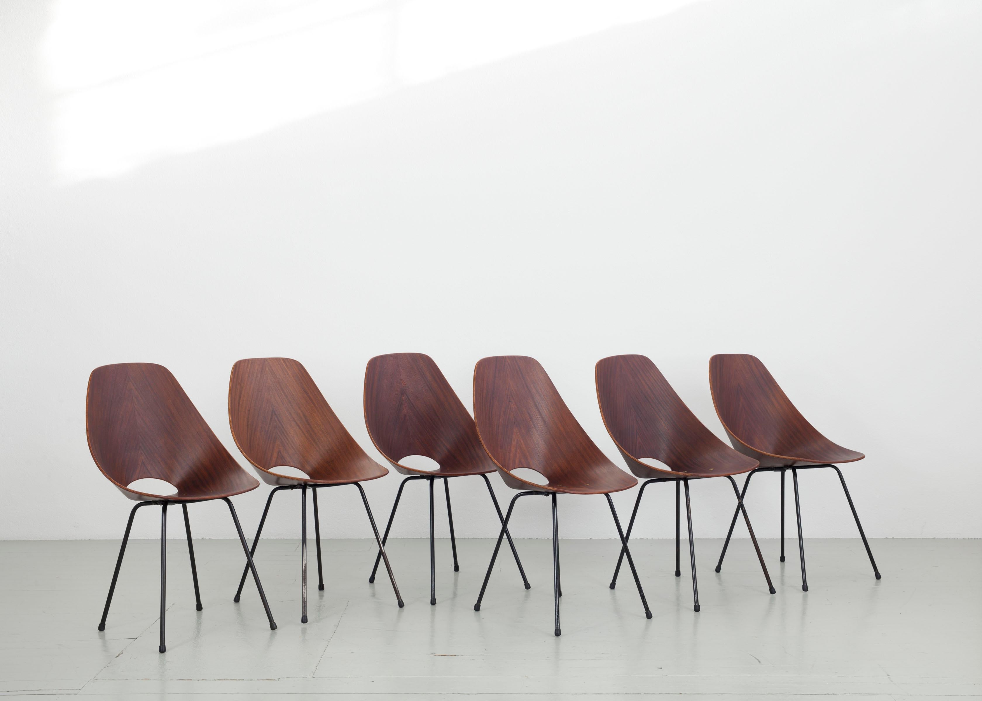 Mid-Century Modern Set of 6 Vittorio Nobili Medea Plywood Side Chairs from Italy, 1956