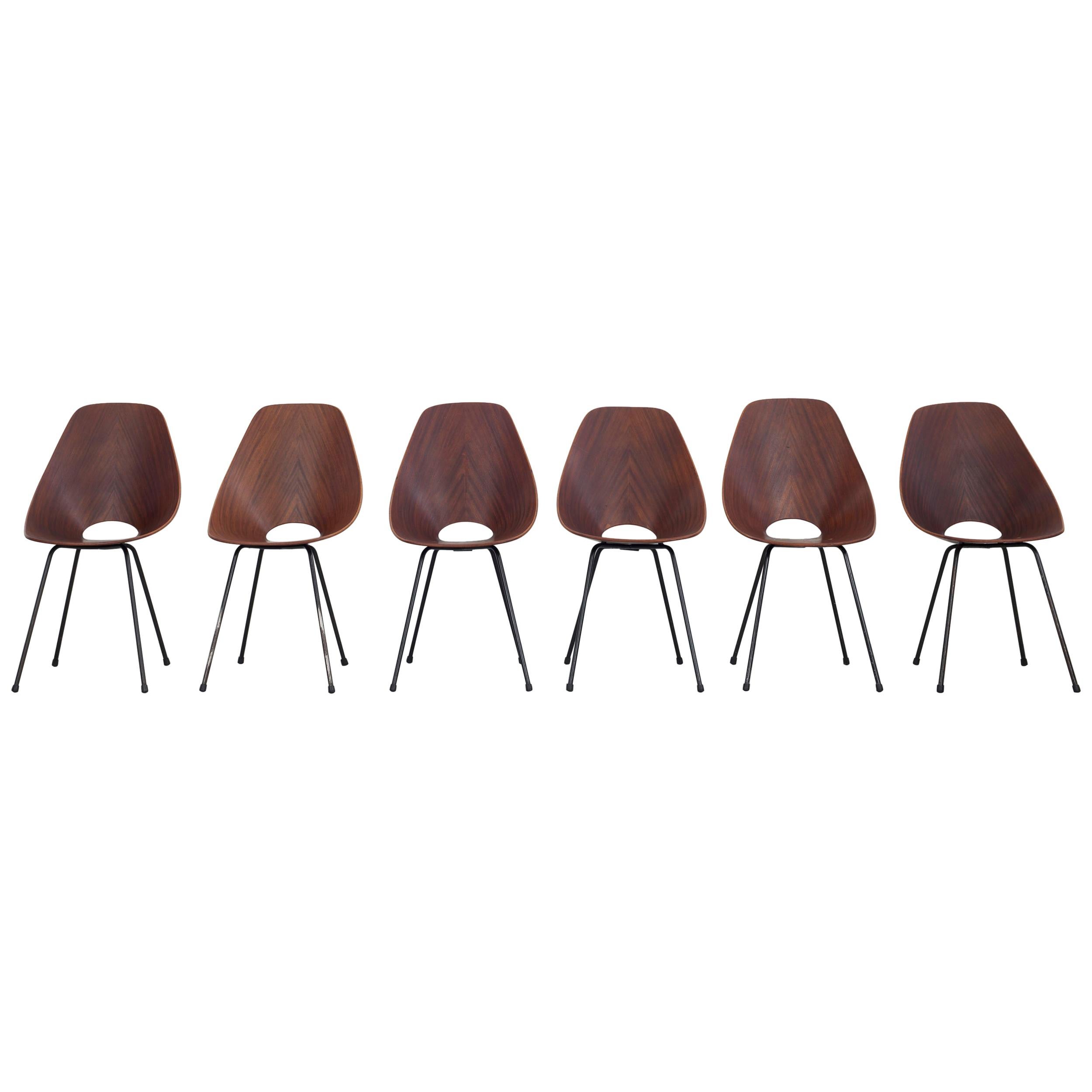 Set of 6 Vittorio Nobili Medea Plywood Side Chairs from Italy, 1956