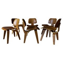 Jeu de 6 chaises DCW Eames en noyer pour Herman Miller Jeu de 6 chaises DCW Eames en noyer pour Herman Miller