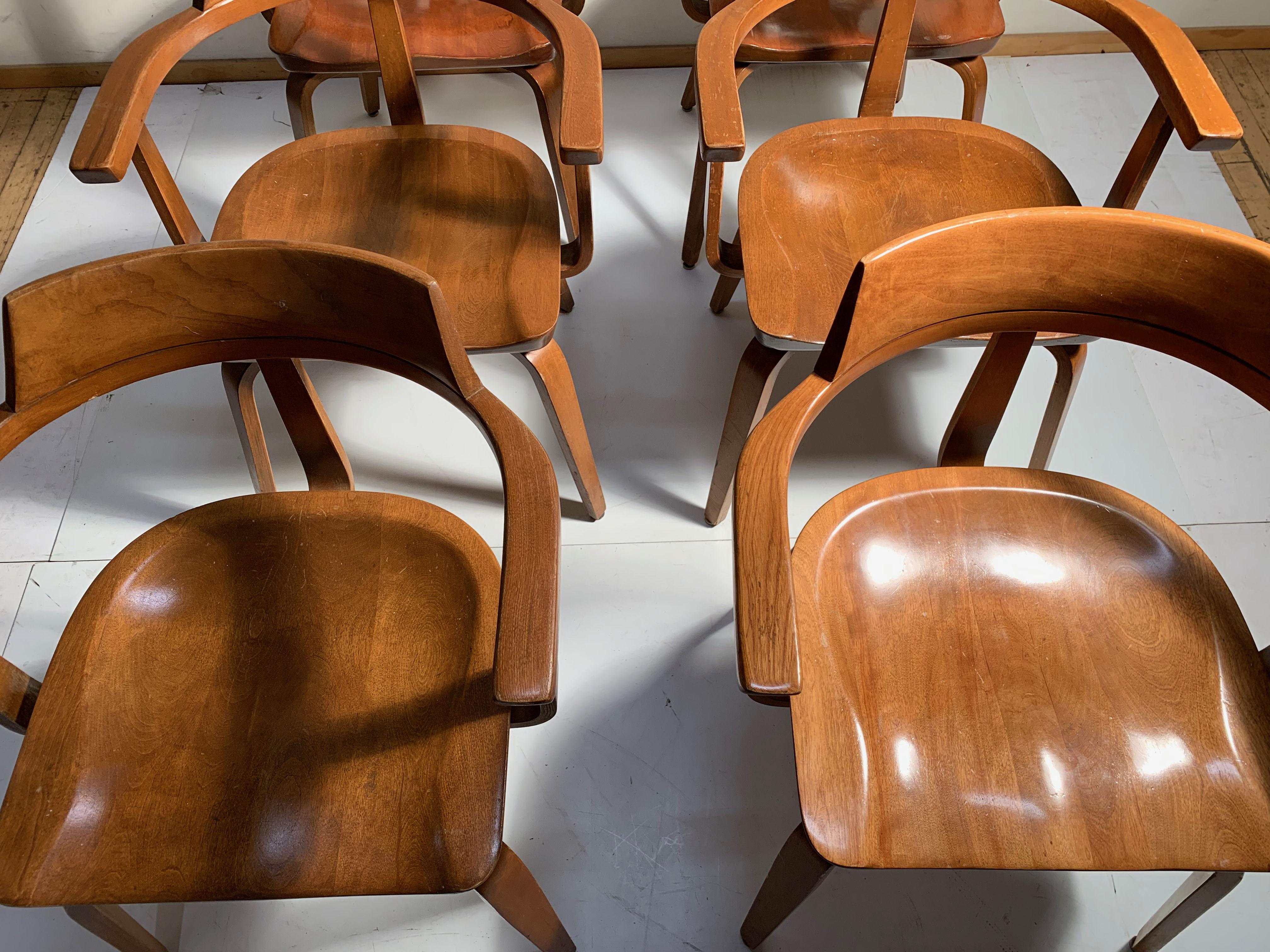 Set of 12 Walter Gropius Chairs for Thonet 2