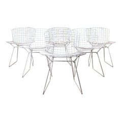 Set of 6 White Metal Indoor / Outdoor Chairs by Harry Bertoia for Knoll