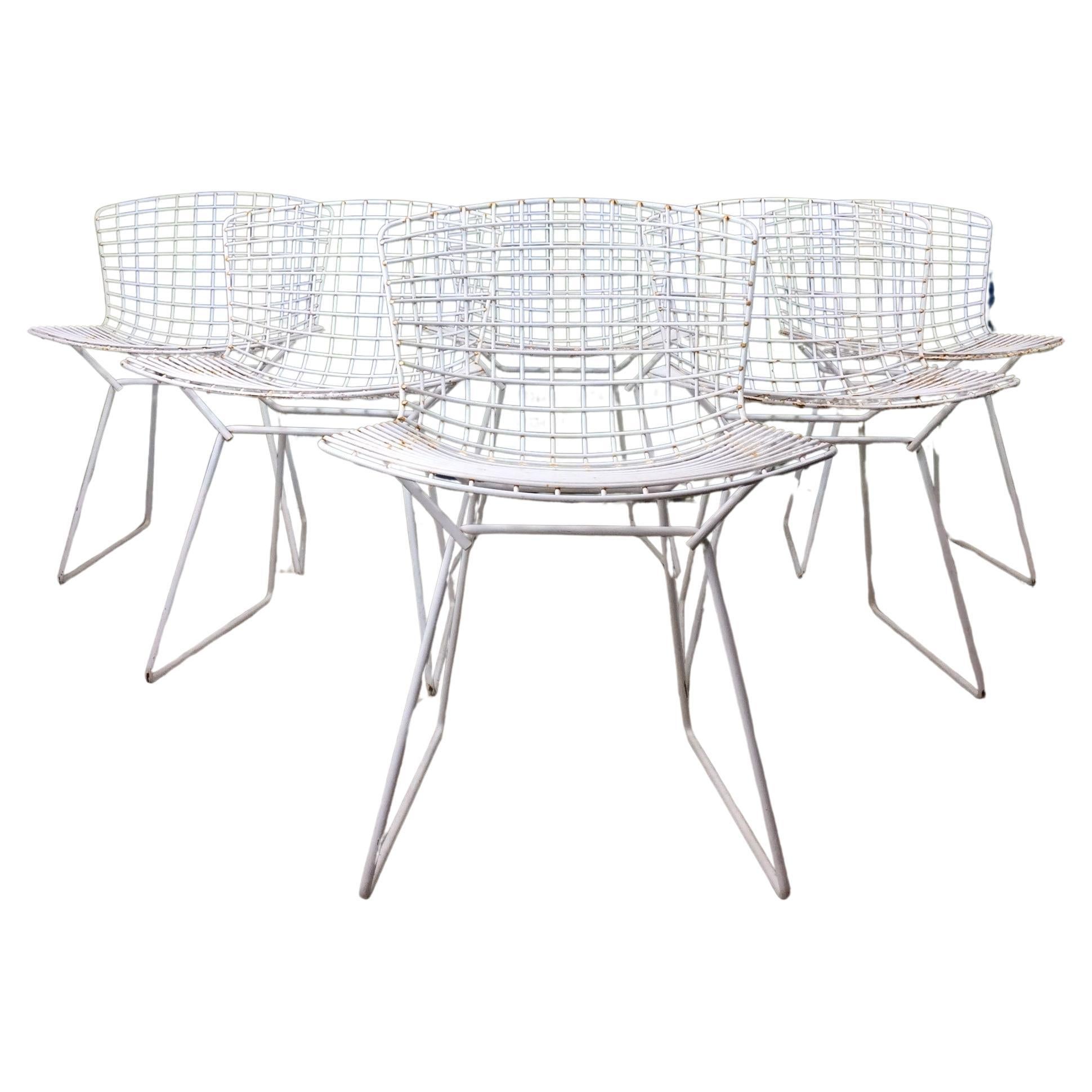 Set of 6 White Metal Indoor / Outdoor Chairs by Harry Bertoia for Knoll