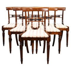 Antique Set of 6 William IV Rosewood Dining Chairs