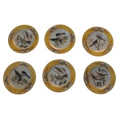 Set of '6' Yellow and Gold Chinese Export Ceramic Decorative Plates