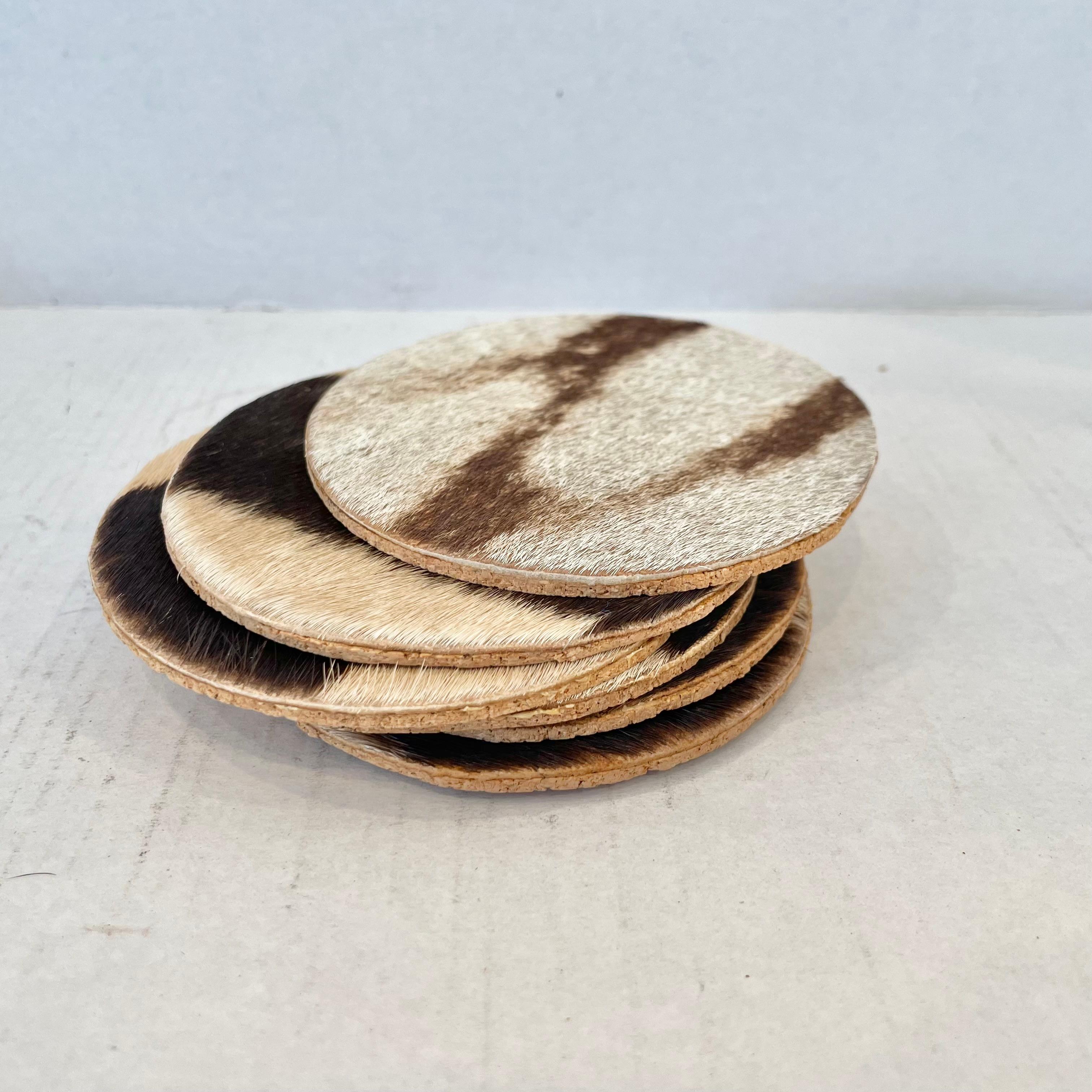 Set of 6 Zebra Hide Coasters, 1950s 6