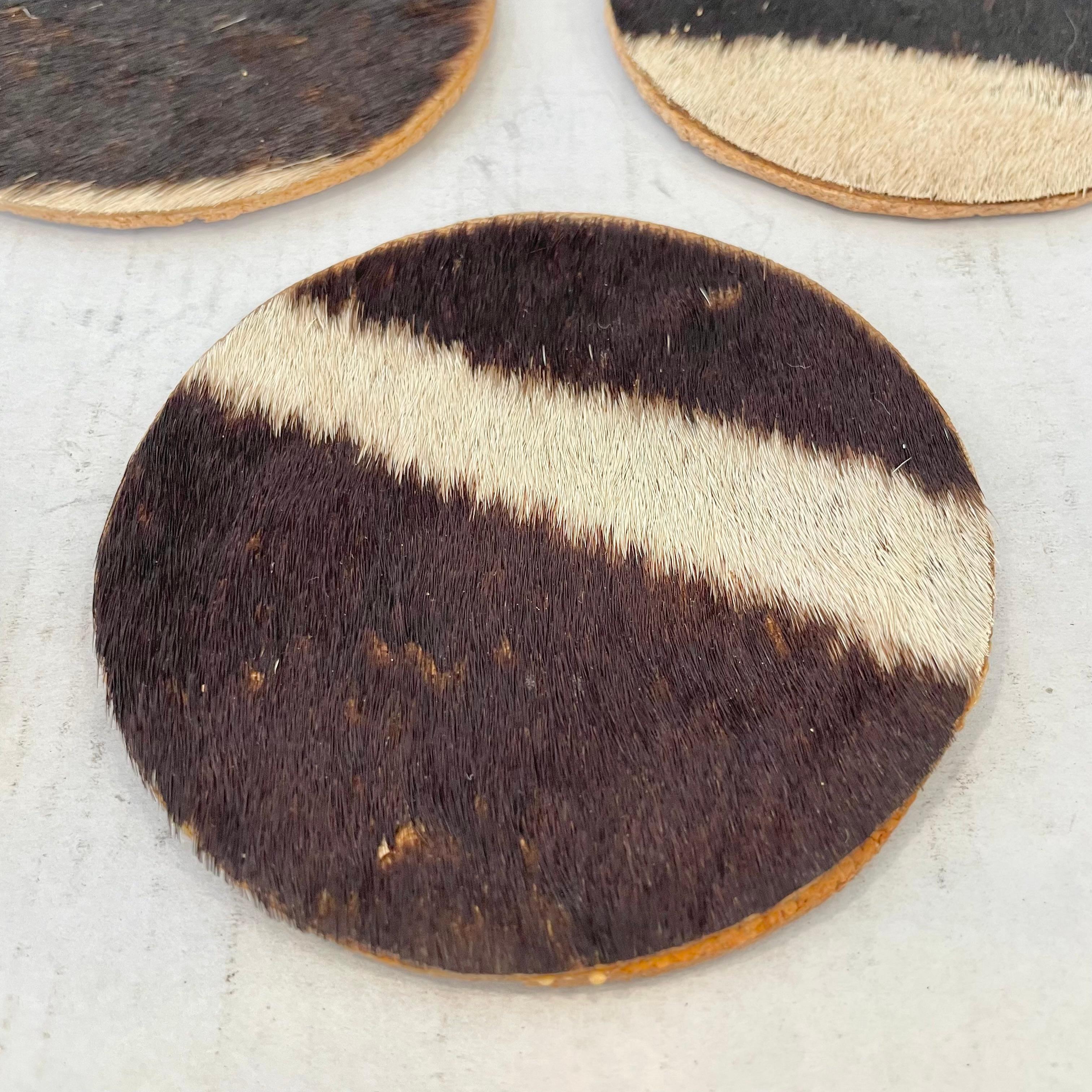 Mid-20th Century Set of 6 Zebra Hide Coasters, 1950s